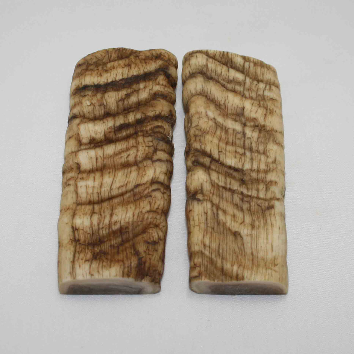 NB902LG32 Merino Ram Horn Scales LARGE