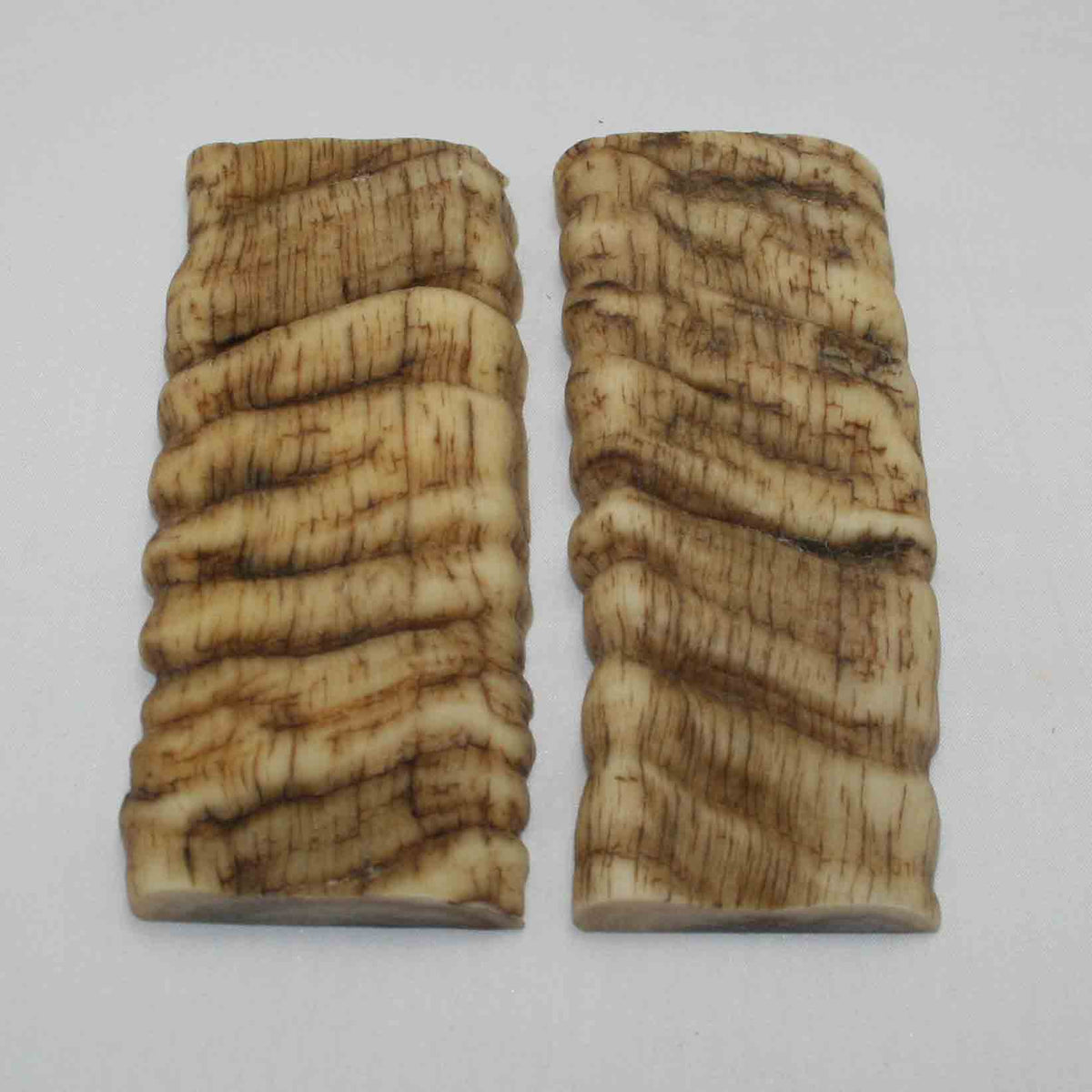 NB902LG38 Merino Ram Horn Scales LARGE