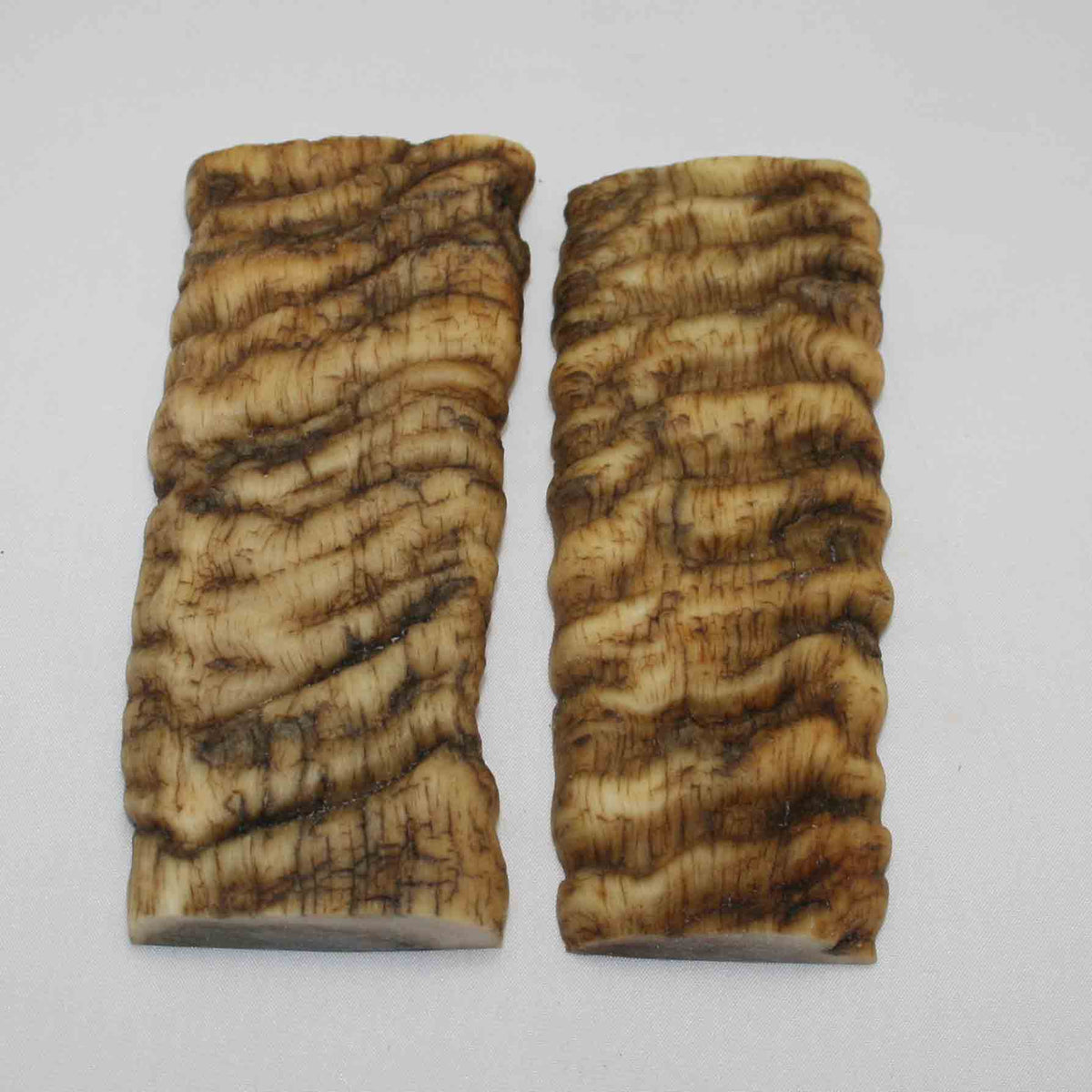 NB902LG39 Merino Ram Horn Scales LARGE