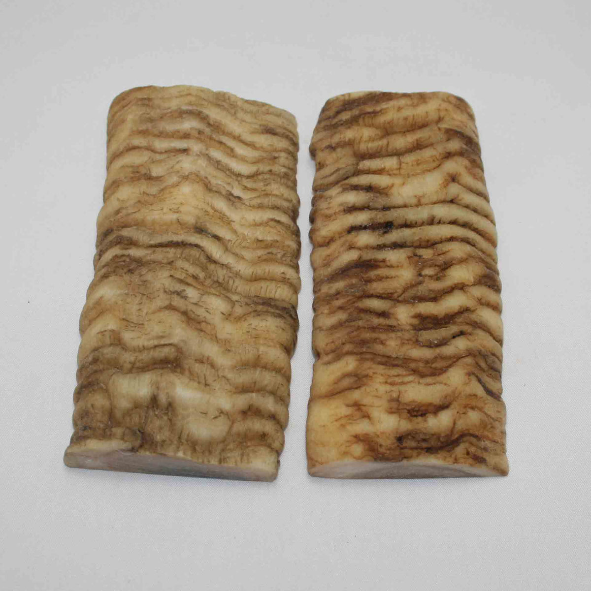NB902LG42 Merino Ram Horn Scales LARGE
