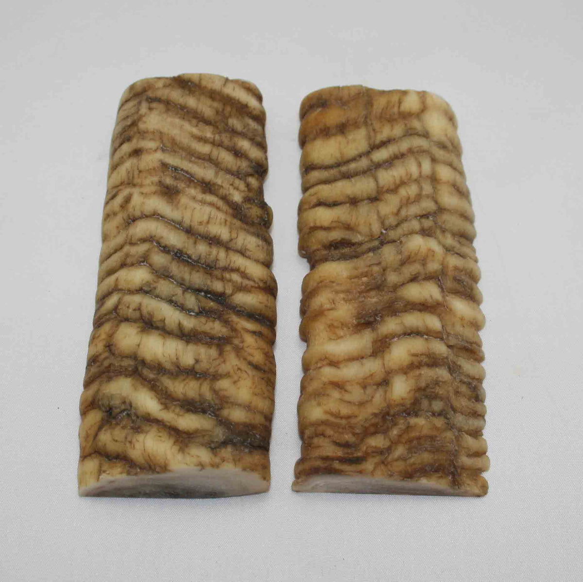 NB902LG46 Merino Ram Horn Scales LARGE