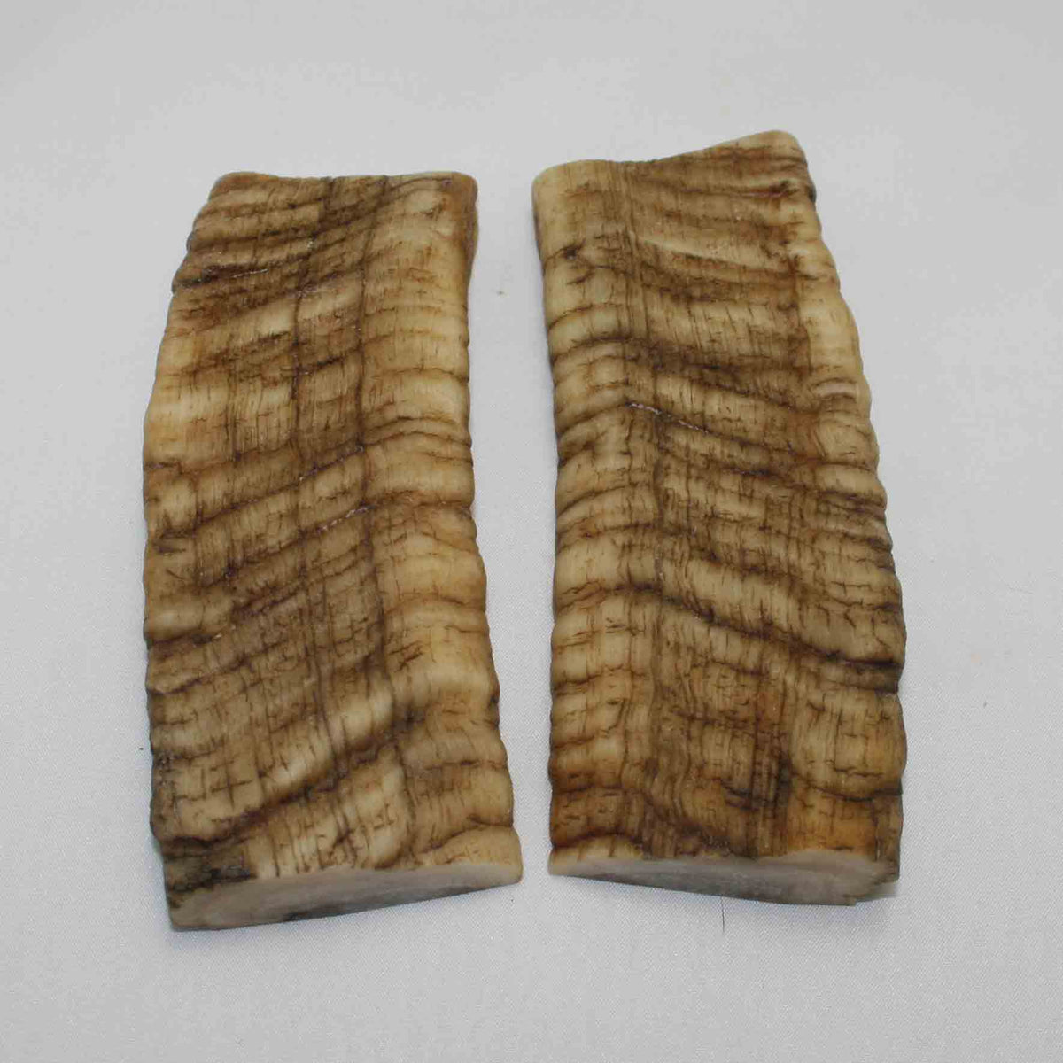NB902LG48 Merino Ram Horn Scales LARGE