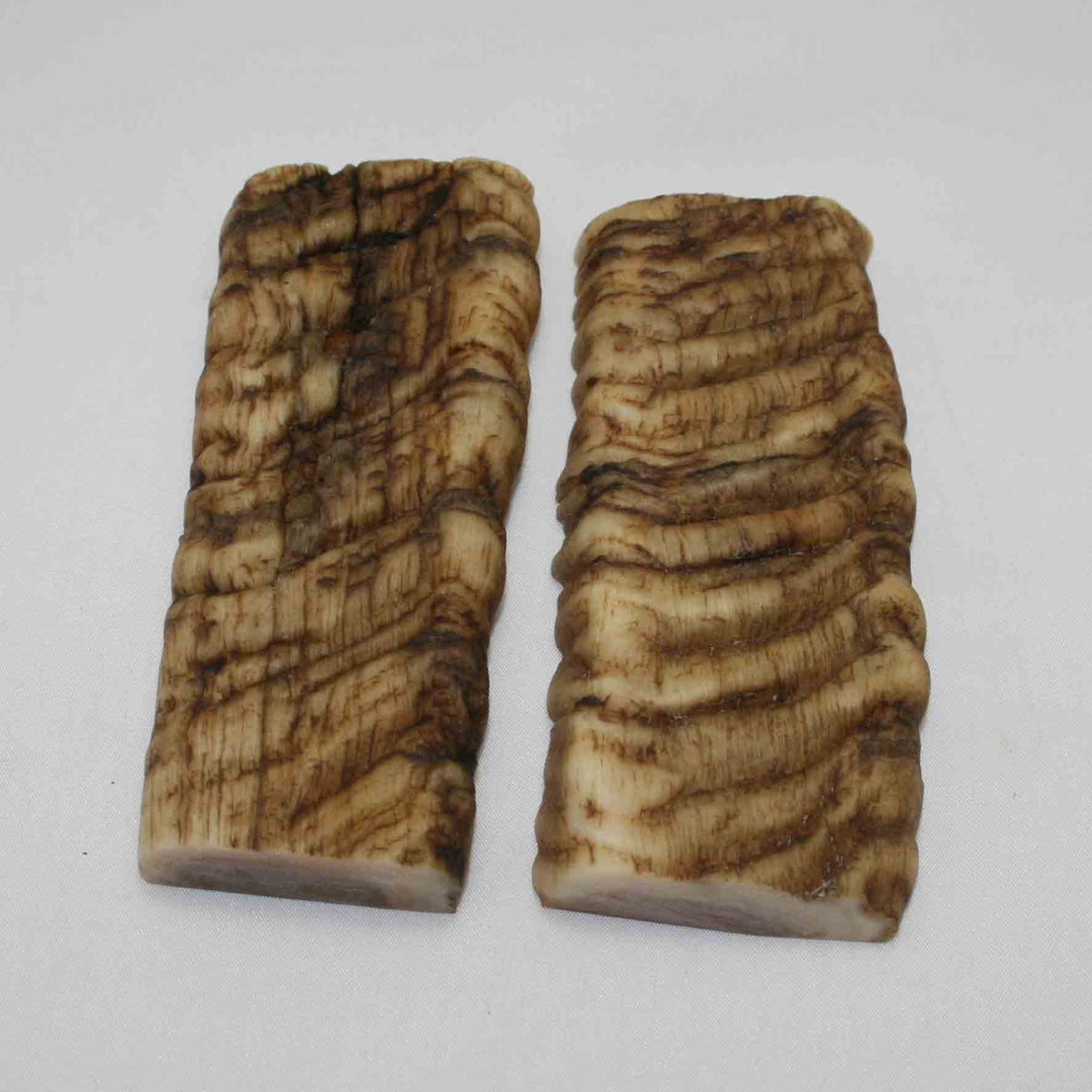 NB902LG50 Merino Ram Horn Scales LARGE