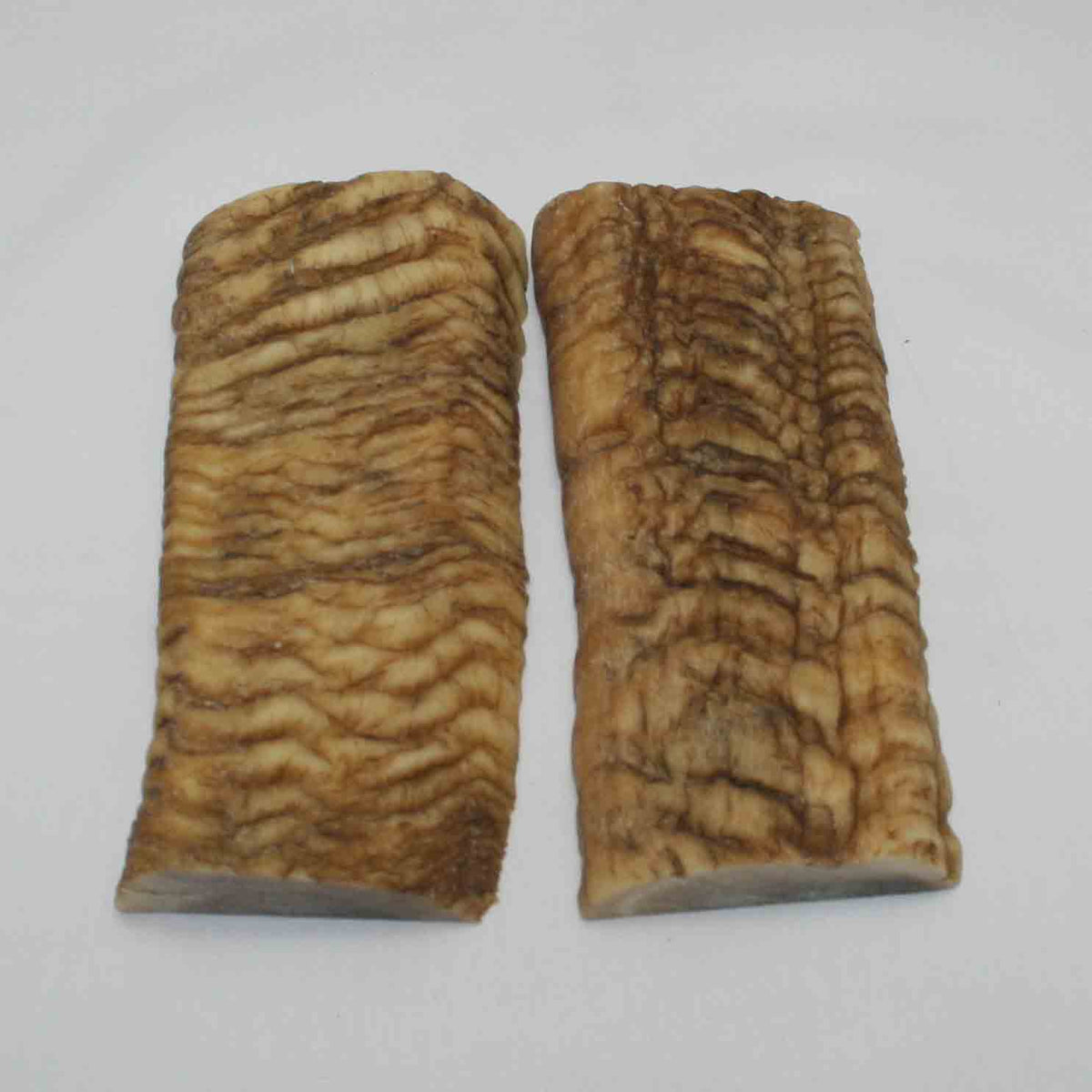 NB902LG7 Merino Ram Horn Scales LARGE