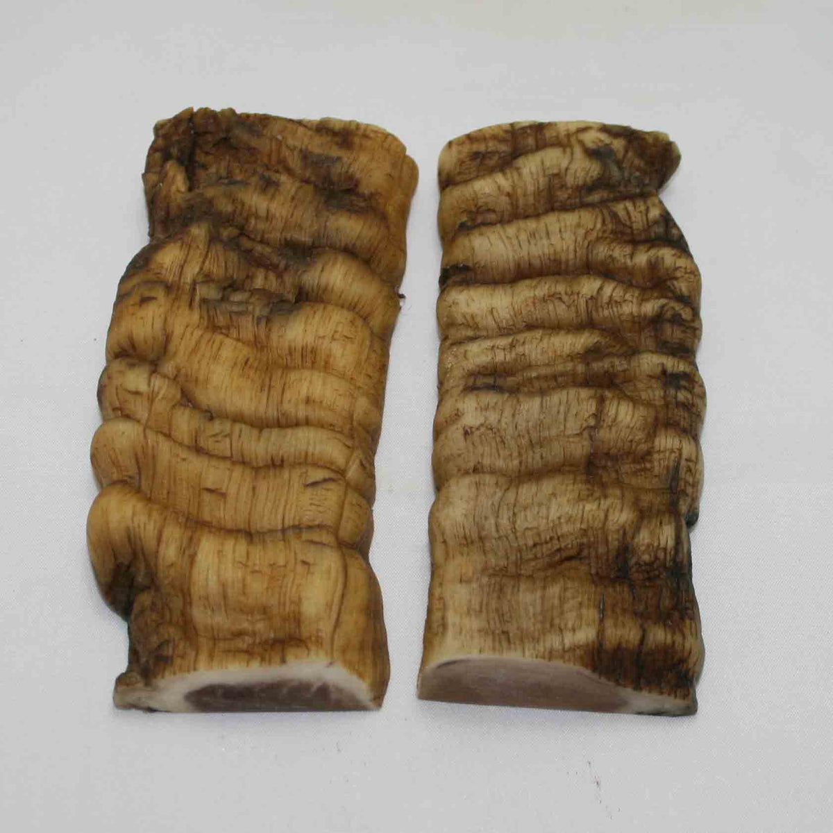 NB902MMA12 Merino Ram Horn Scales LARGE