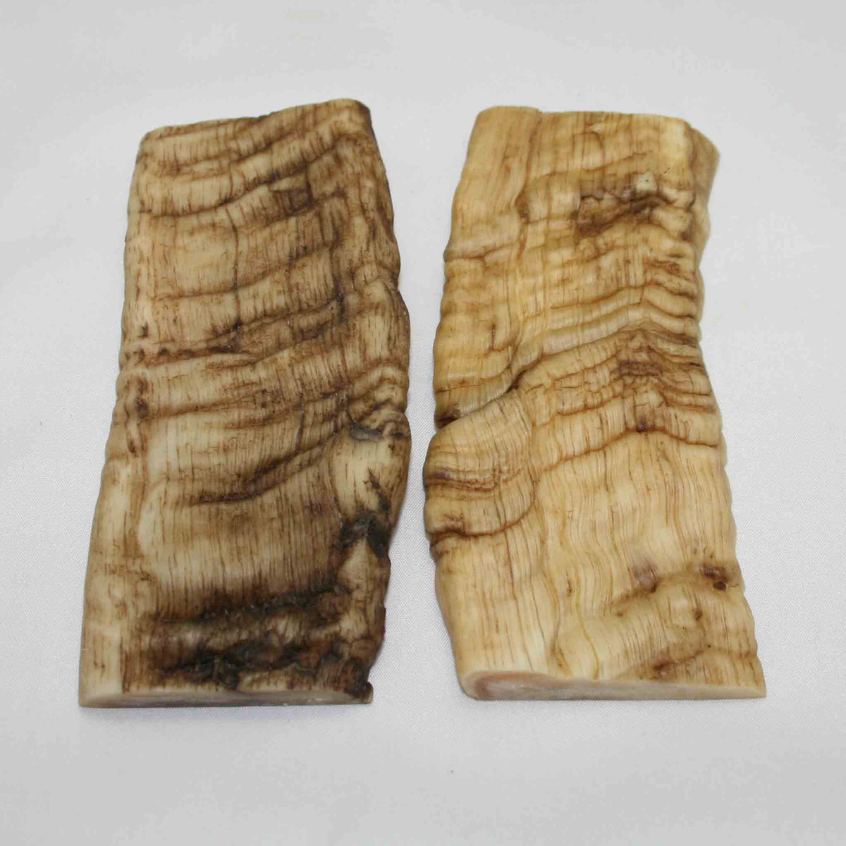 NB902MMA13 Merino Ram Horn Scales LARGE