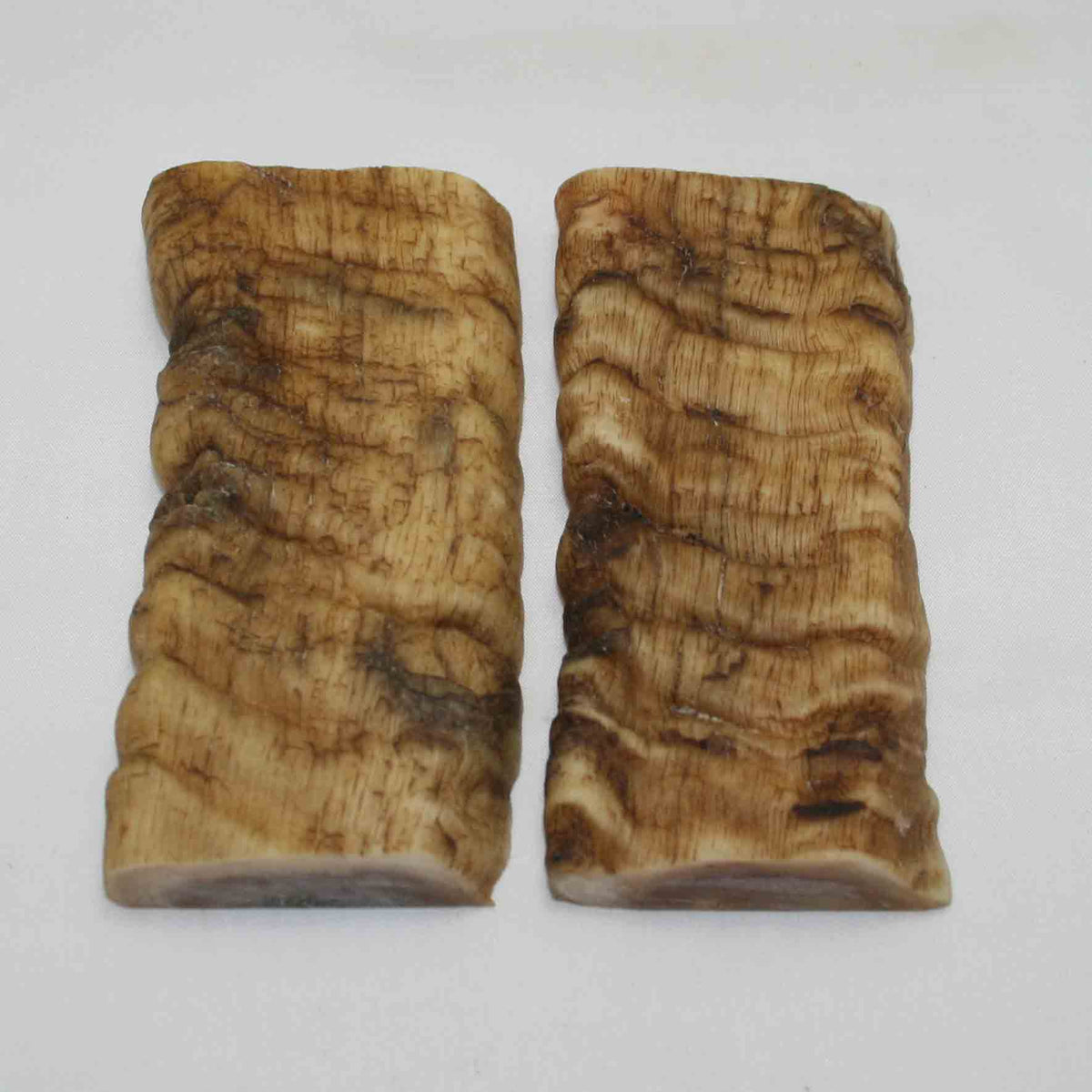 NB902MMA14 Merino Ram Horn Scales LARGE