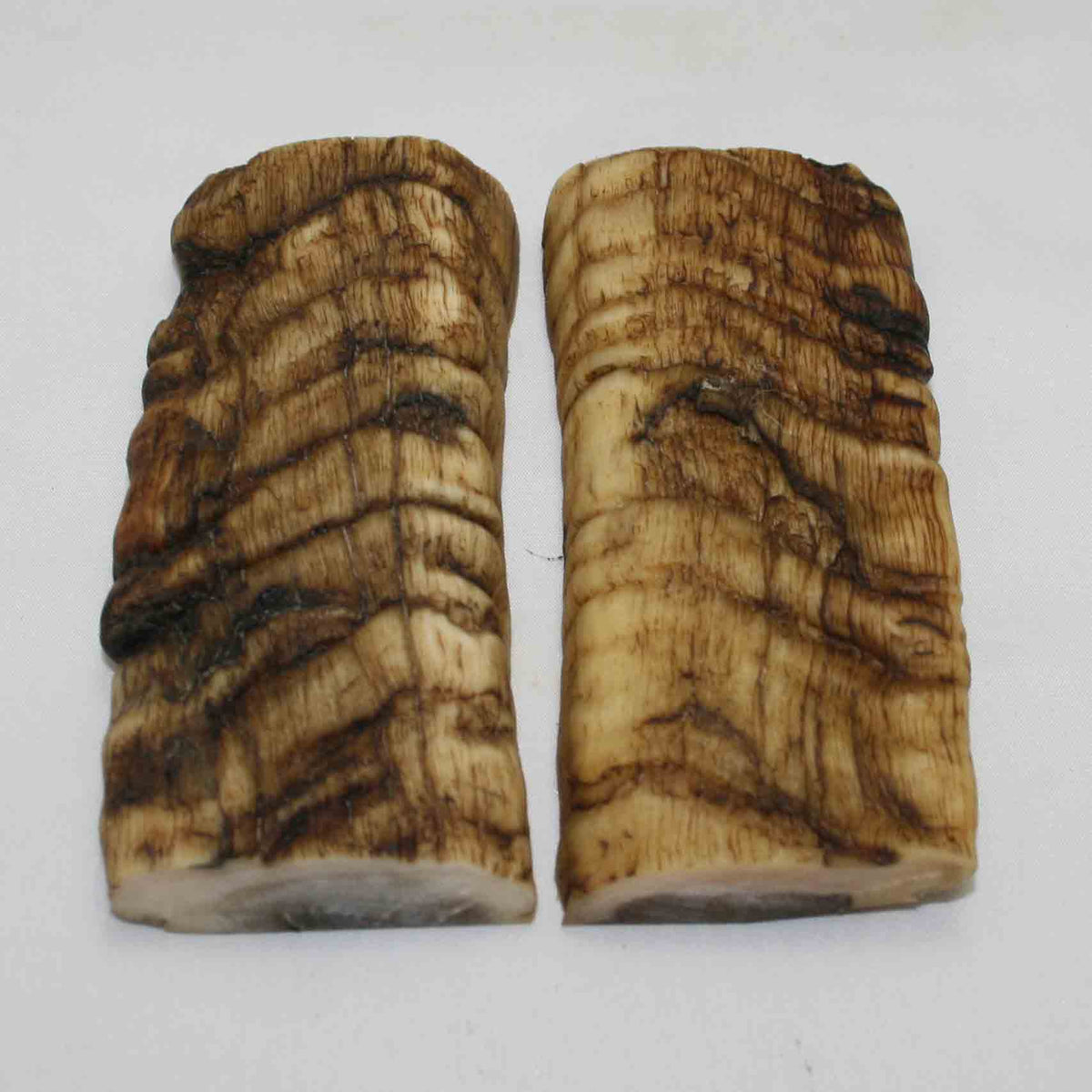 NB902MMA15 Merino Ram Horn Scales LARGE