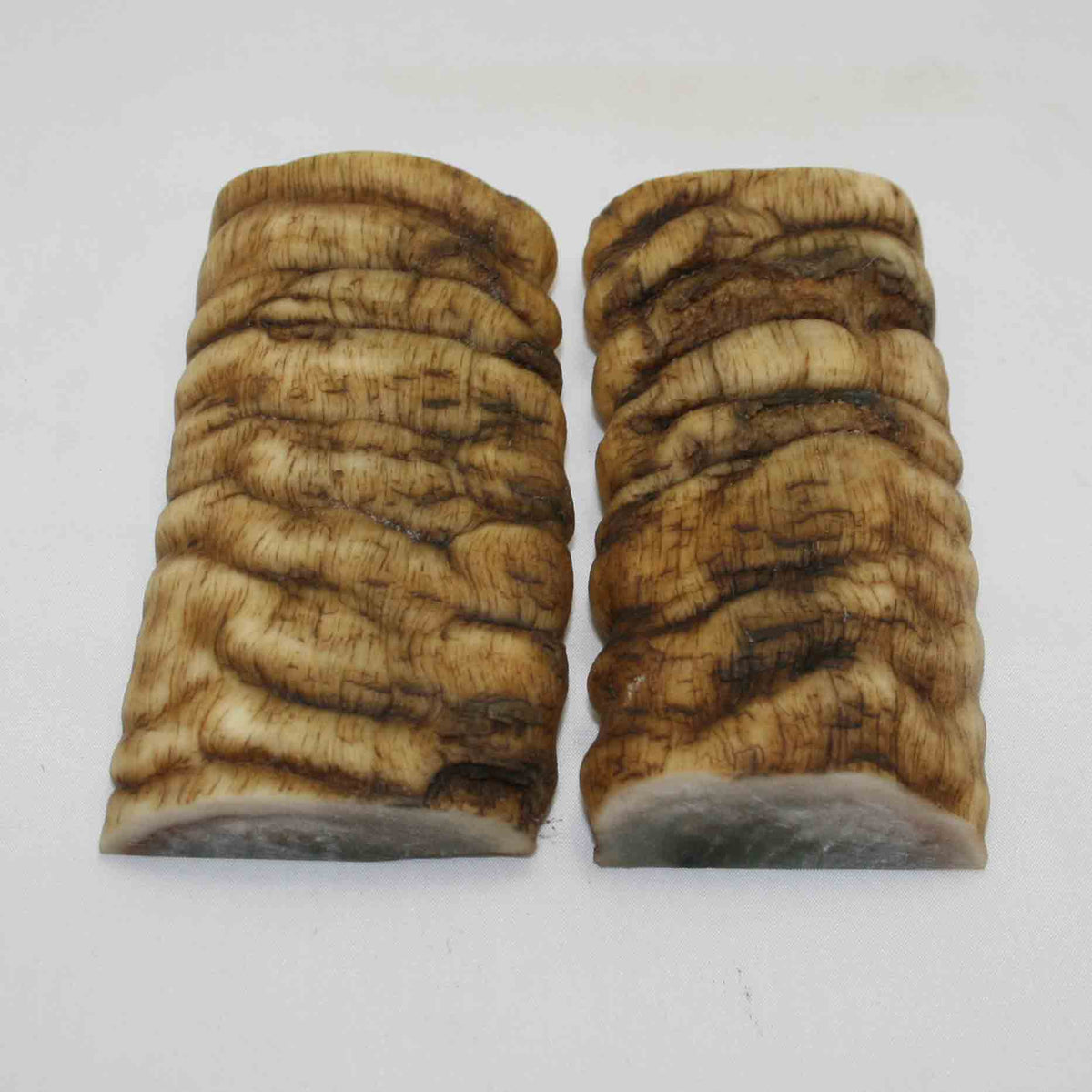 NB902MMA16 Merino Ram Horn Scales LARGE