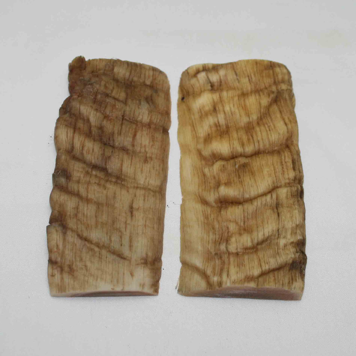 NB902MMA18 Merino Ram Horn Scales LARGE