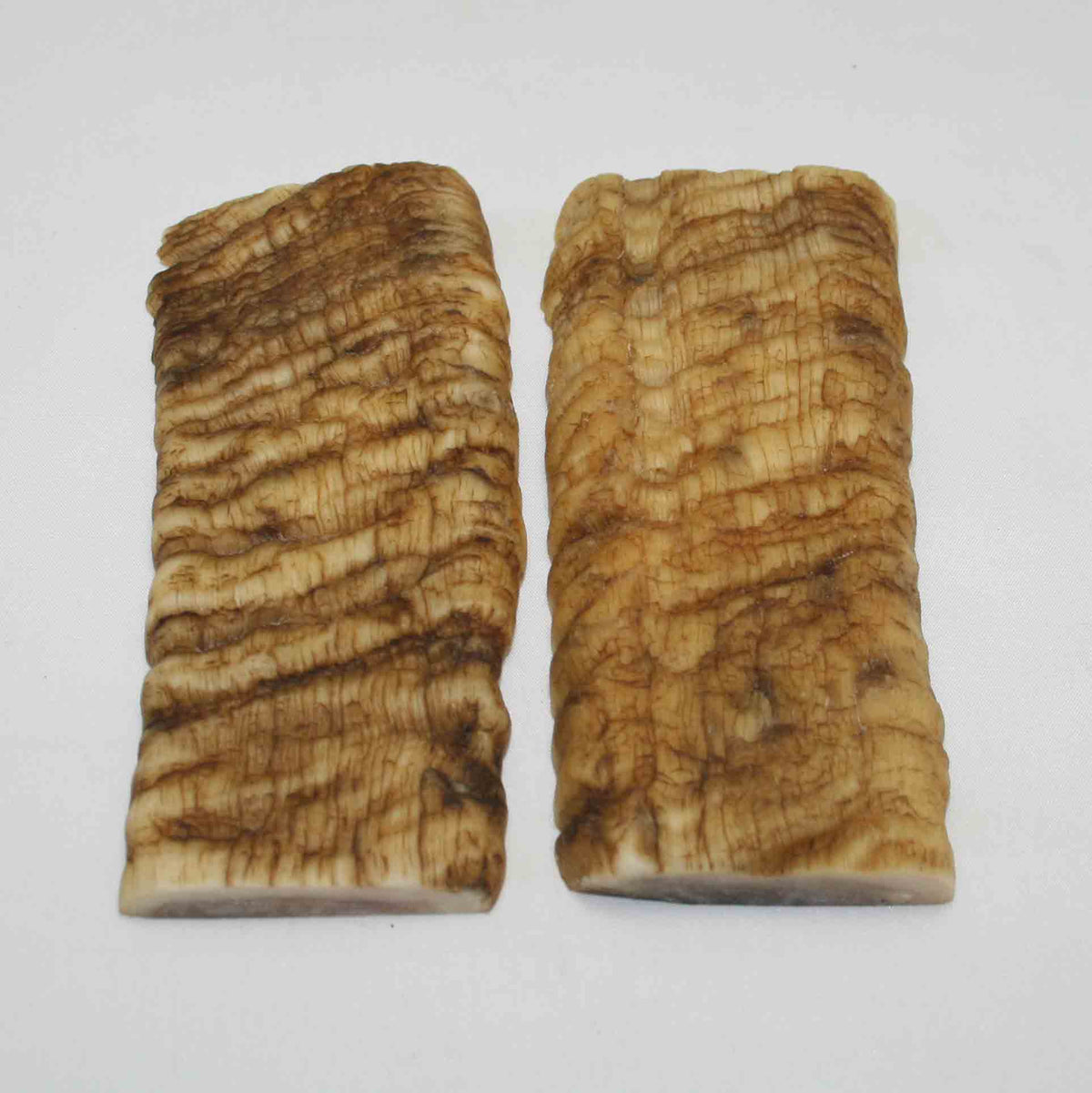 NB902MMA19 Merino Ram Horn Scales LARGE