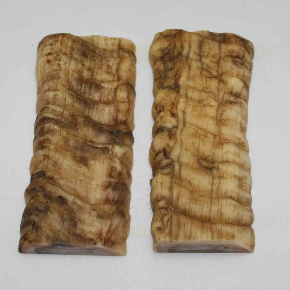 NB902MMA20 Merino Ram Horn Scales LARGE