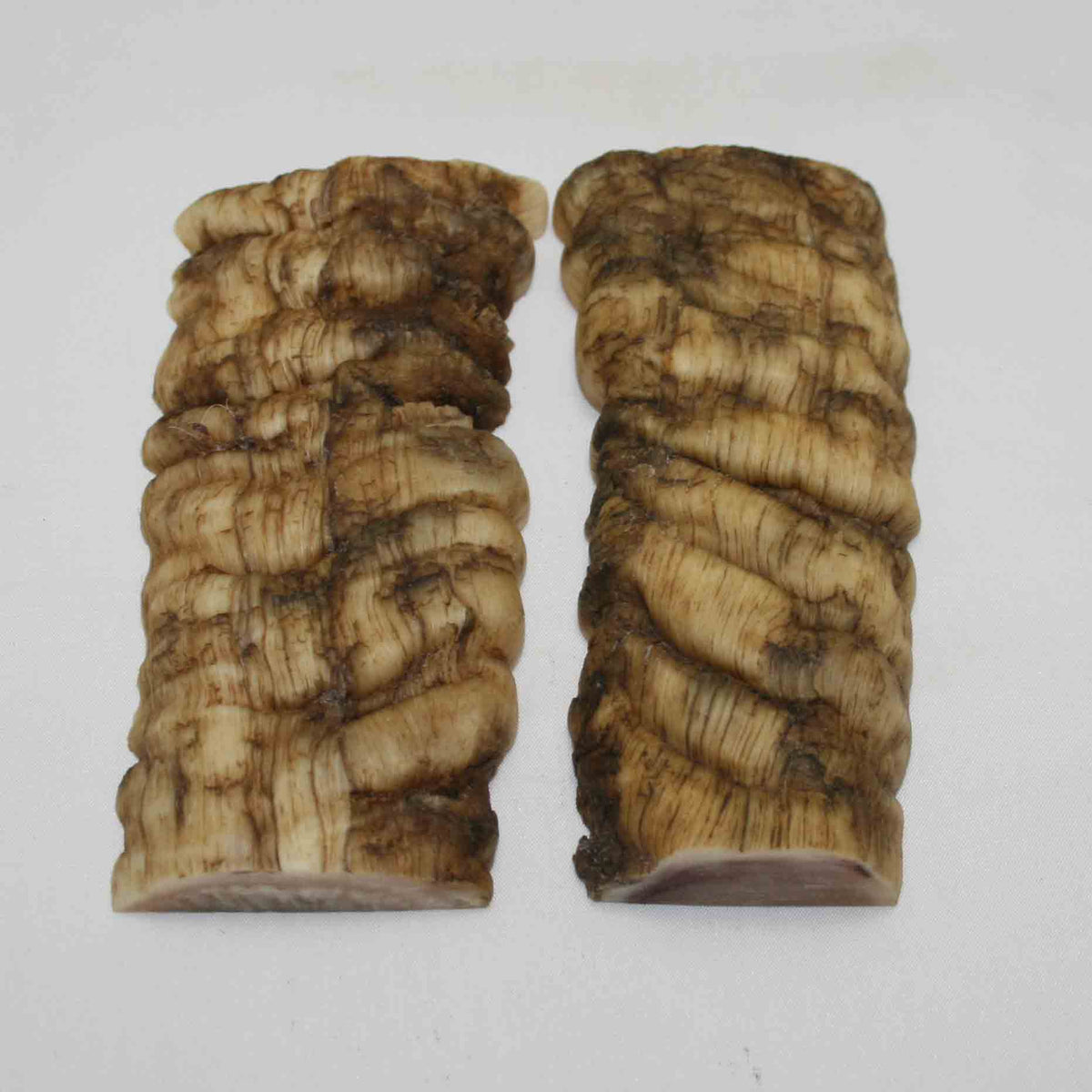 NB902MMA22 Merino Ram Horn Scales LARGE