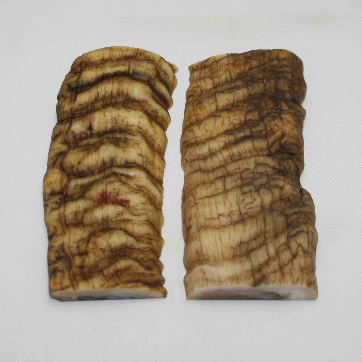 NB902MMA24 Merino Ram Horn Scales LARGE