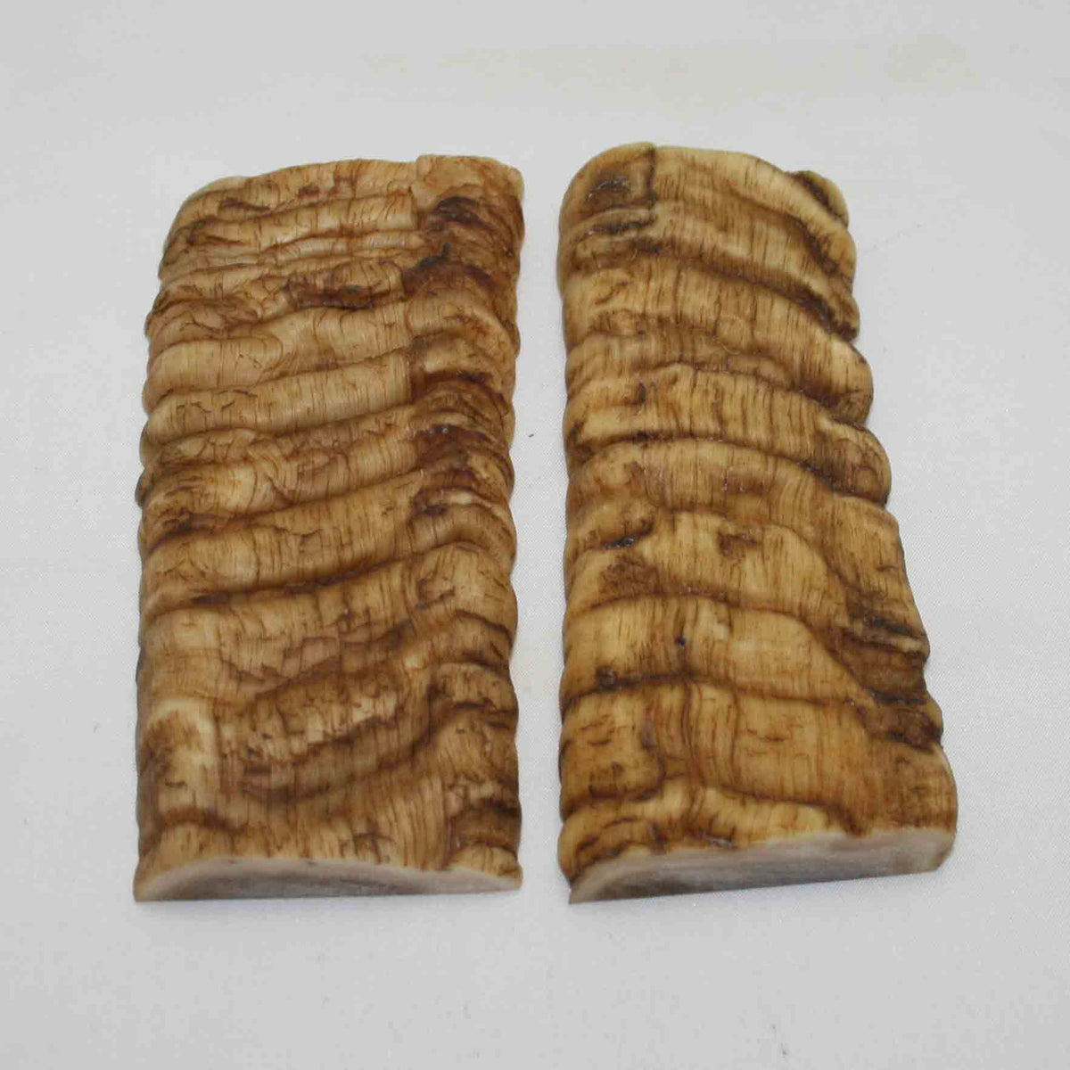 NB902MMA28 Merino Ram Horn Scales LARGE