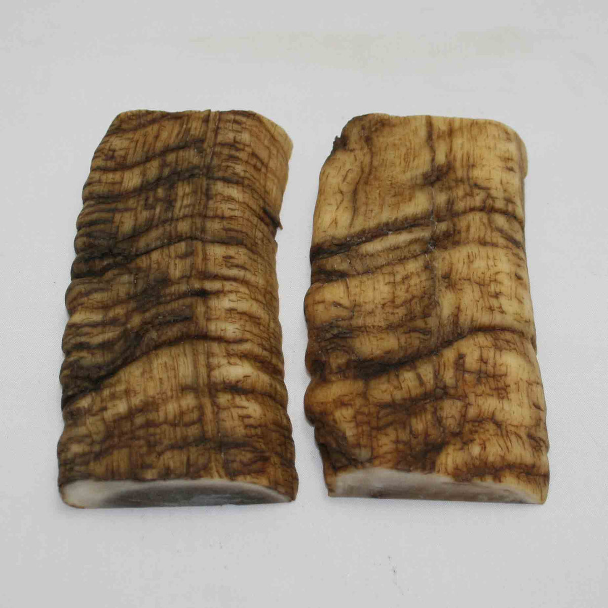 NB902MMA2 Merino Ram Horn Scales LARGE