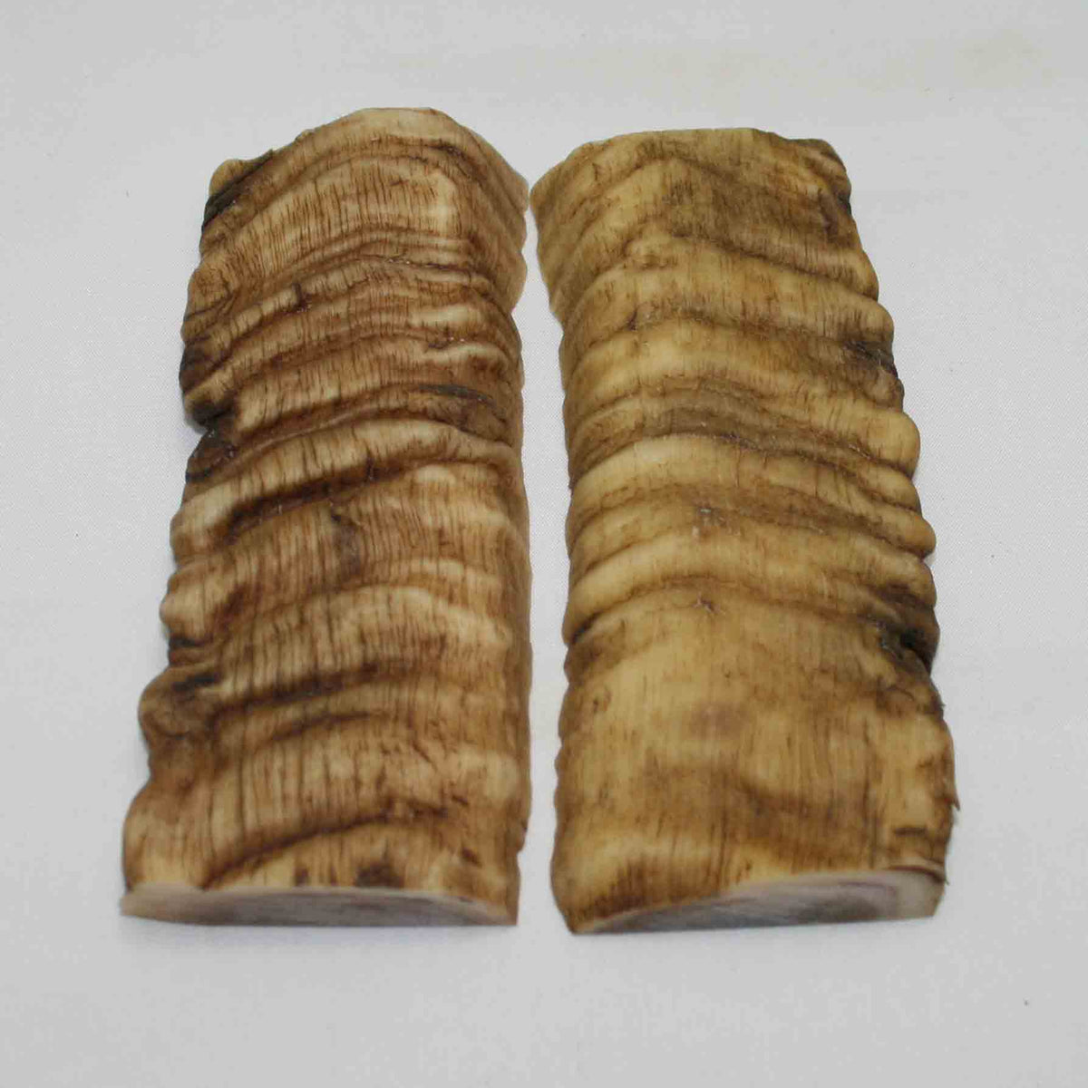 NB902MMA33 Merino Ram Horn Scales LARGE