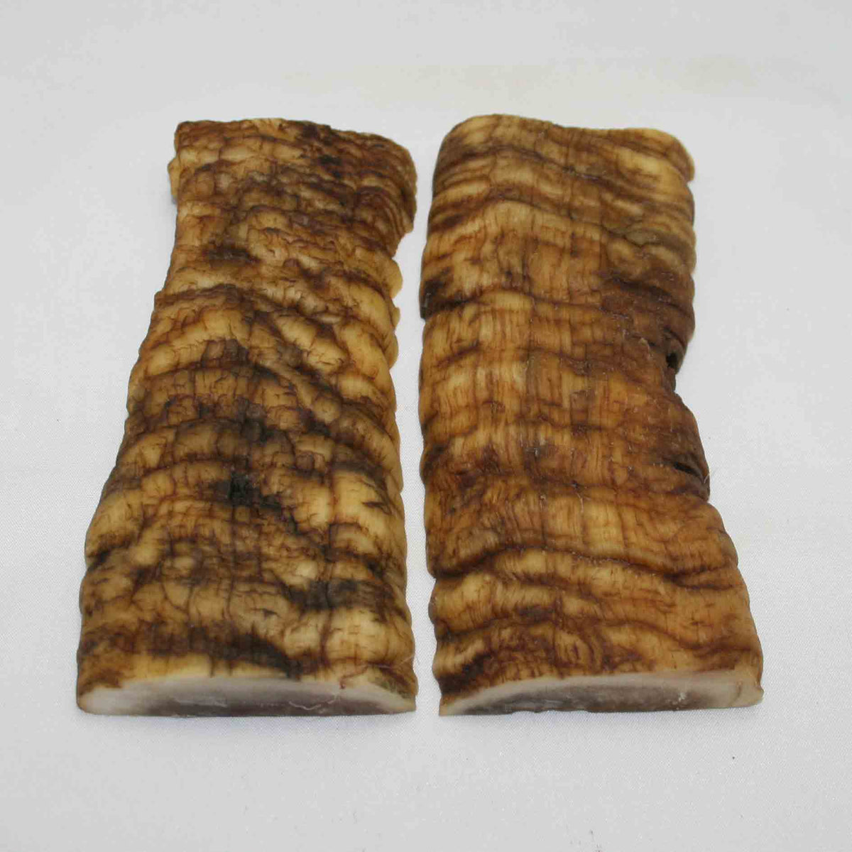 NB902MMA35 Merino Ram Horn Scales LARGE