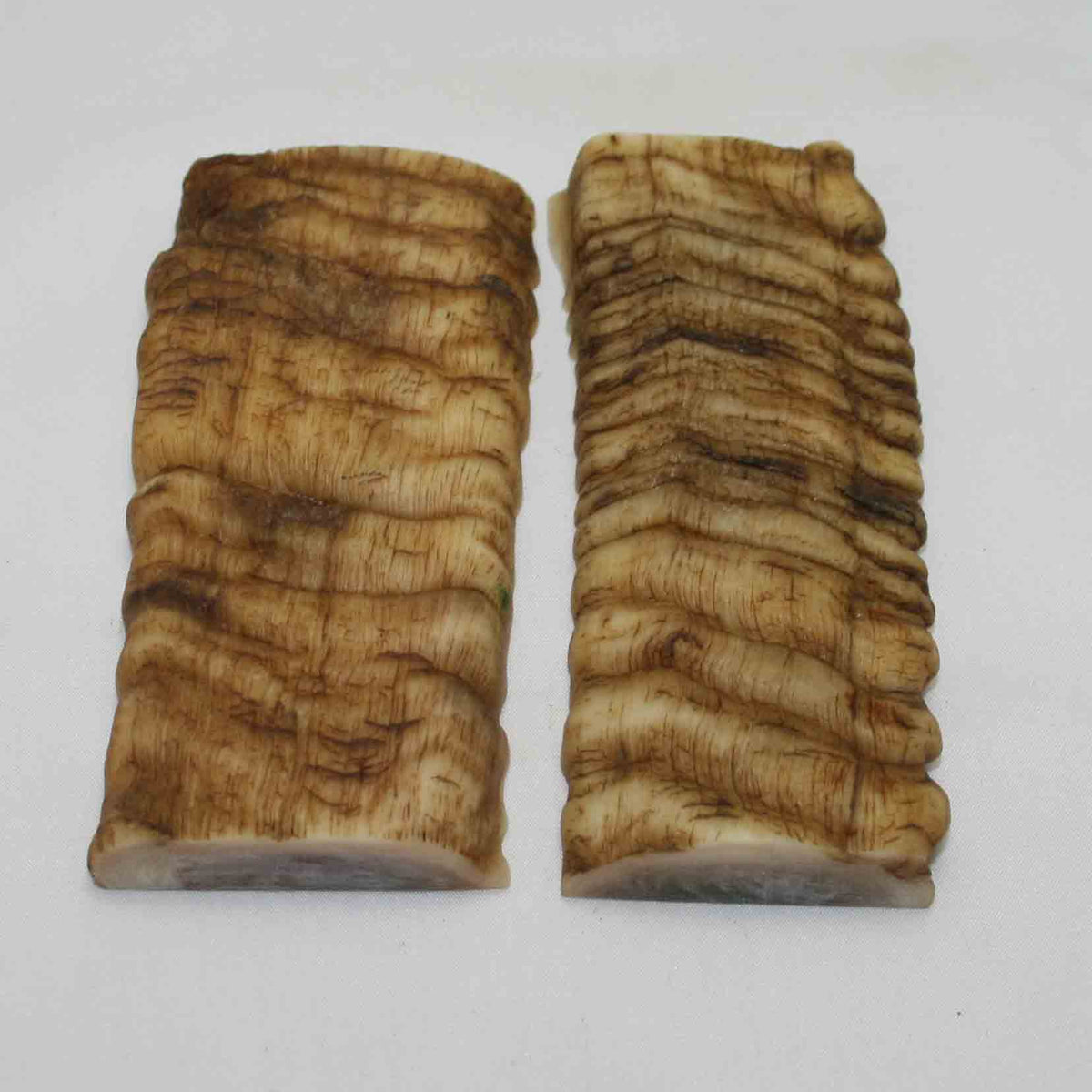 NB902MMA37 Merino Ram Horn Scales LARGE