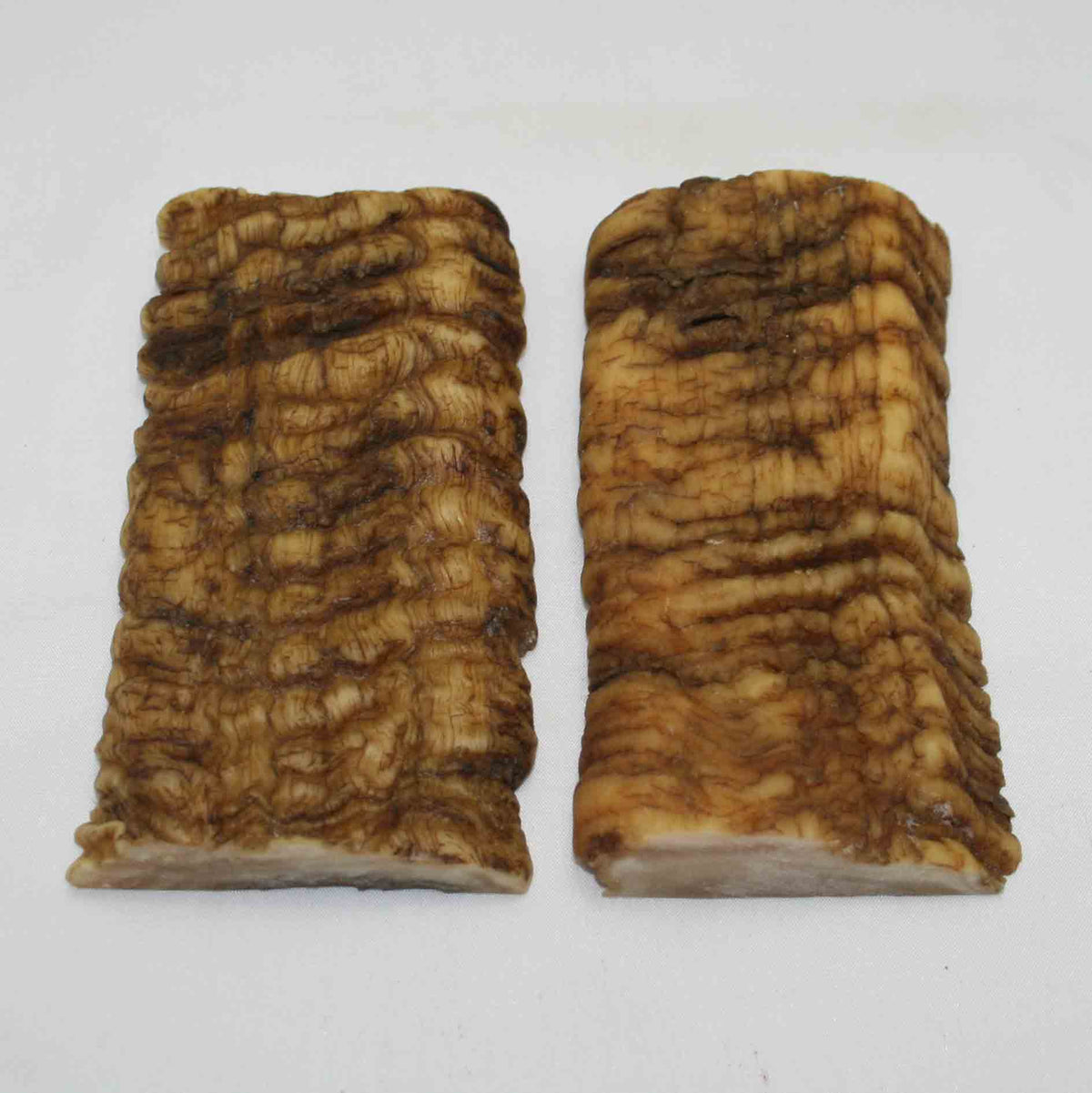 NB902MMA41 Merino Ram Horn Scales LARGE