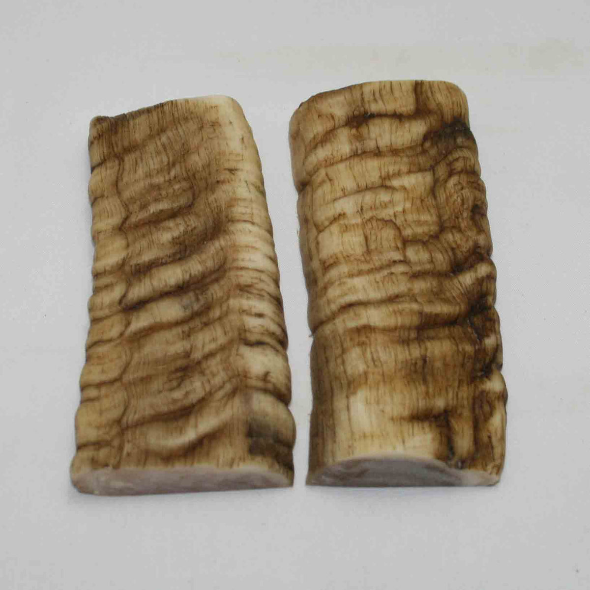 NB902MMA44 Merino Ram Horn Scales LARGE