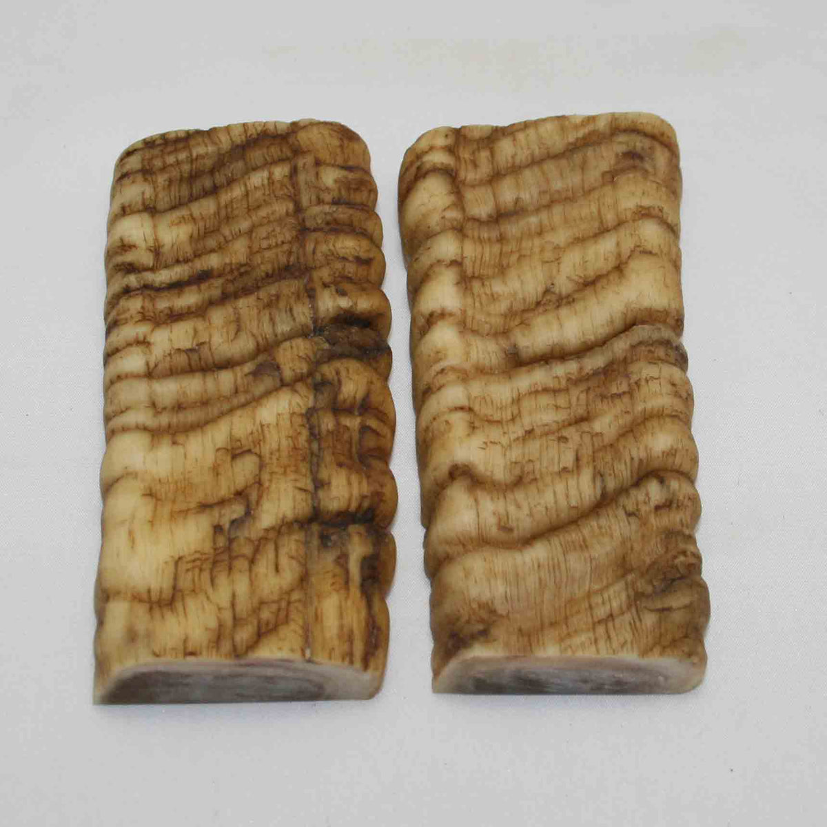 NB902MMA50 Merino Ram Horn Scales LARGE