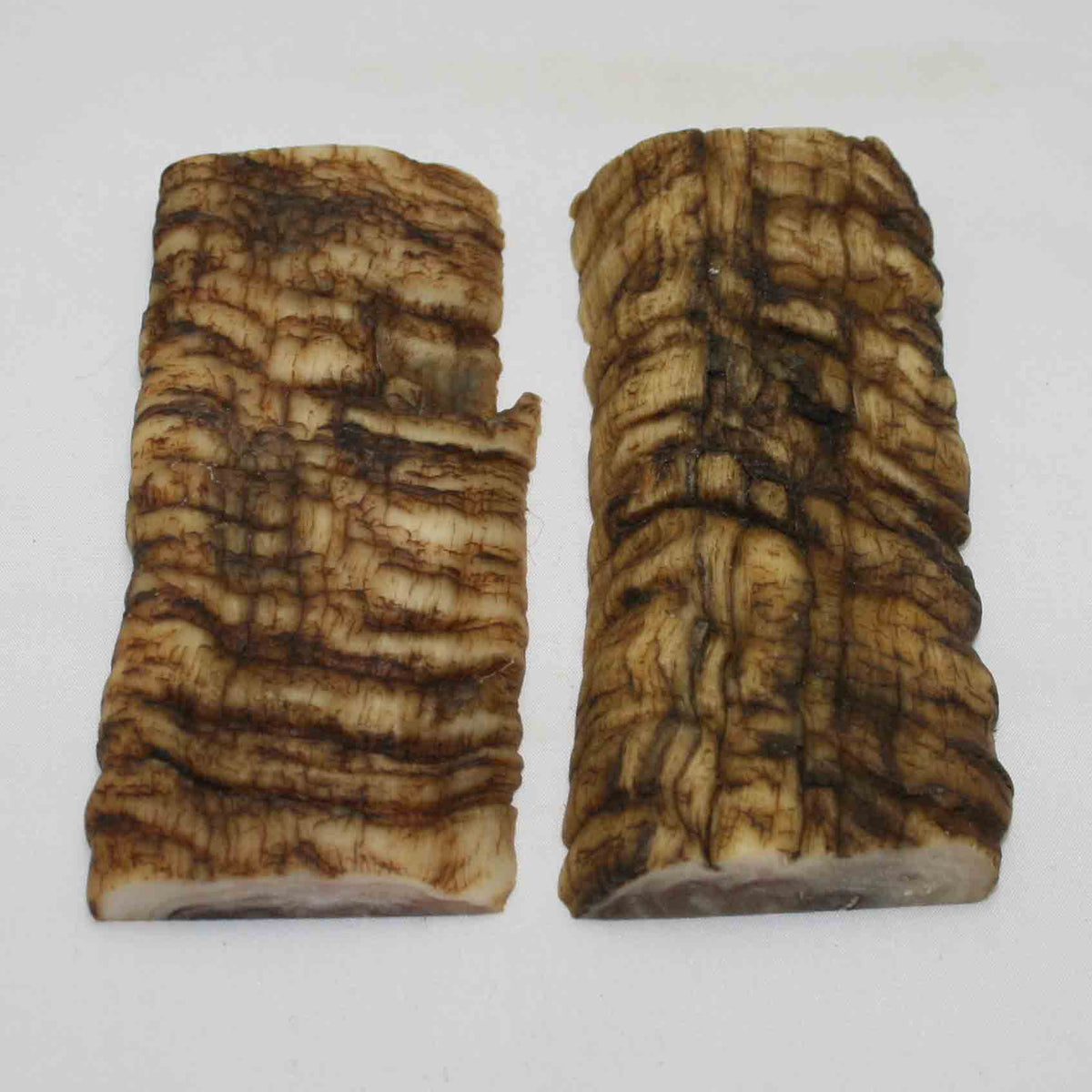 NB902MMA57 Merino Ram Horn Scales LARGE