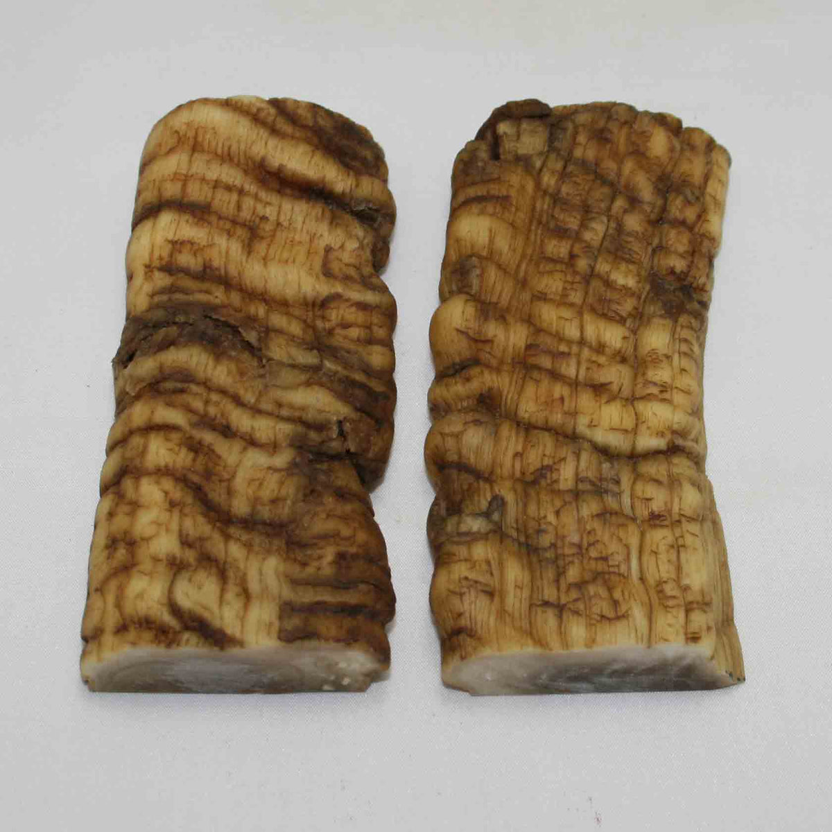 NB902MMA5 Merino Ram Horn Scales LARGE