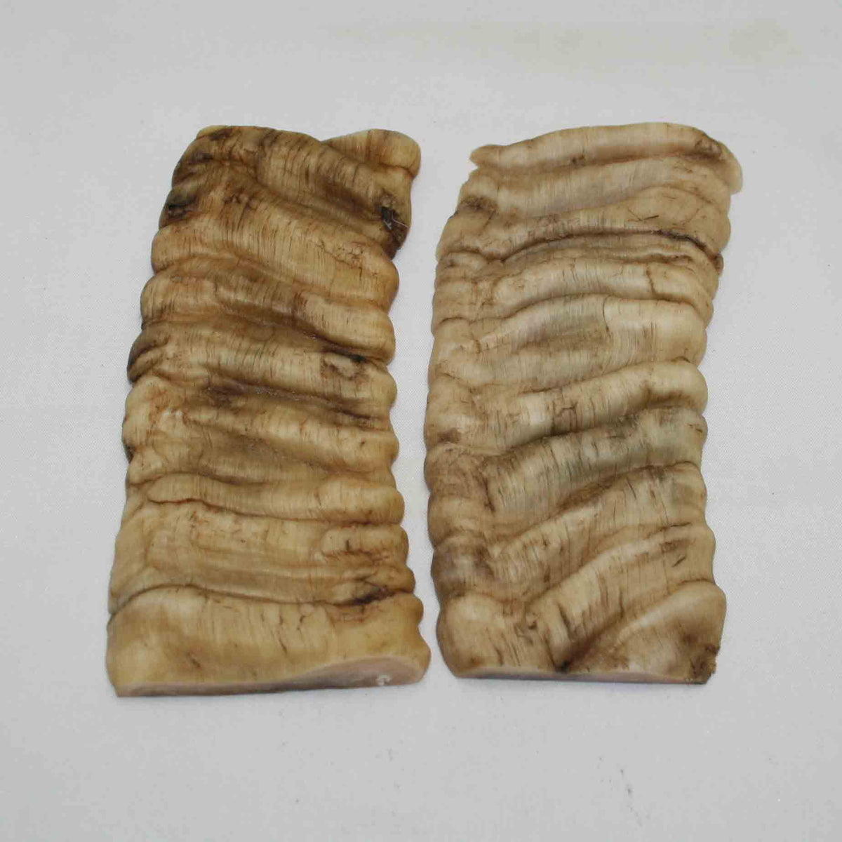 NB902MMA67 Merino Ram Horn Scales LARGE