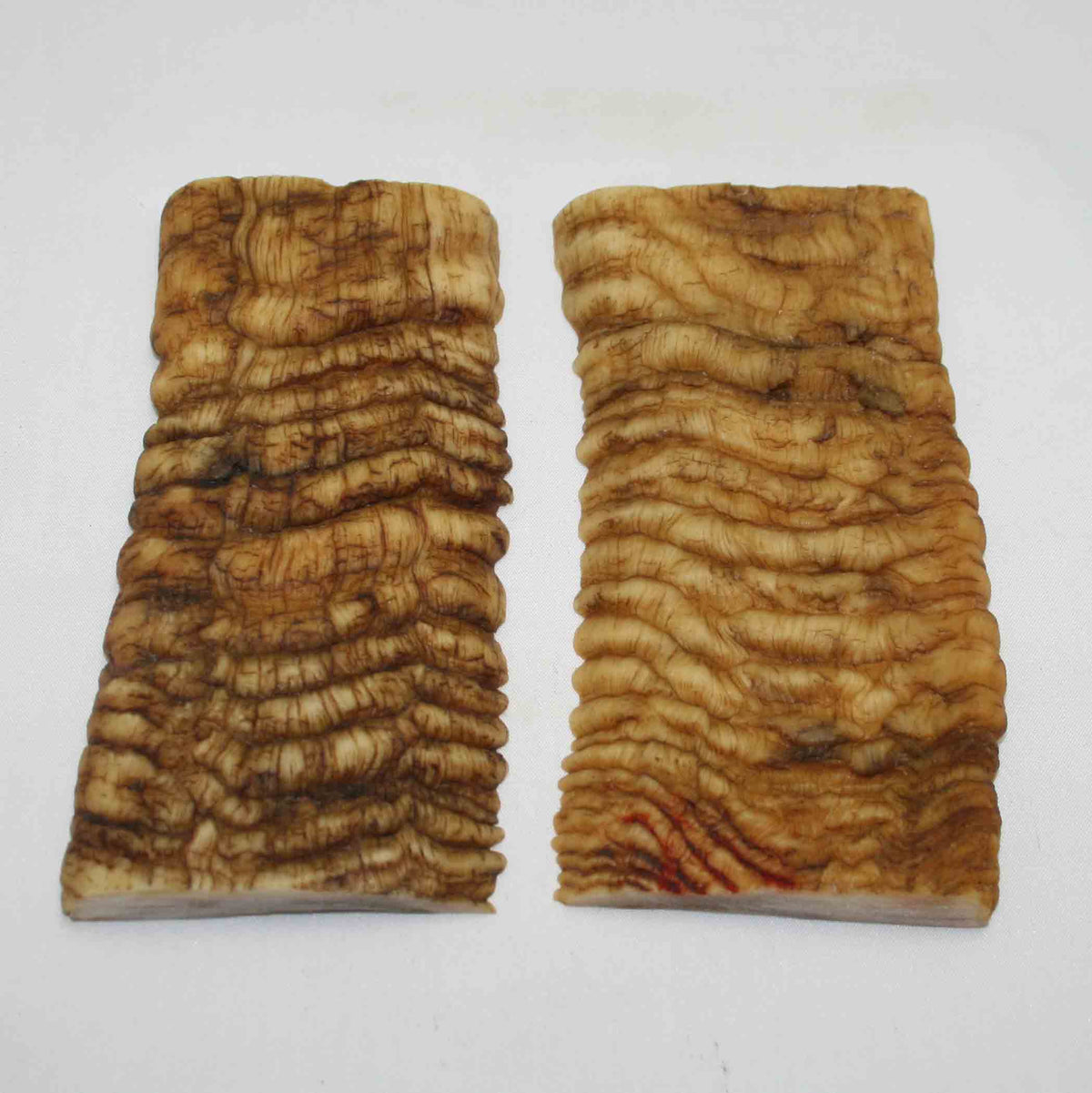 NB902MMA68 Merino Ram Horn Scales LARGE