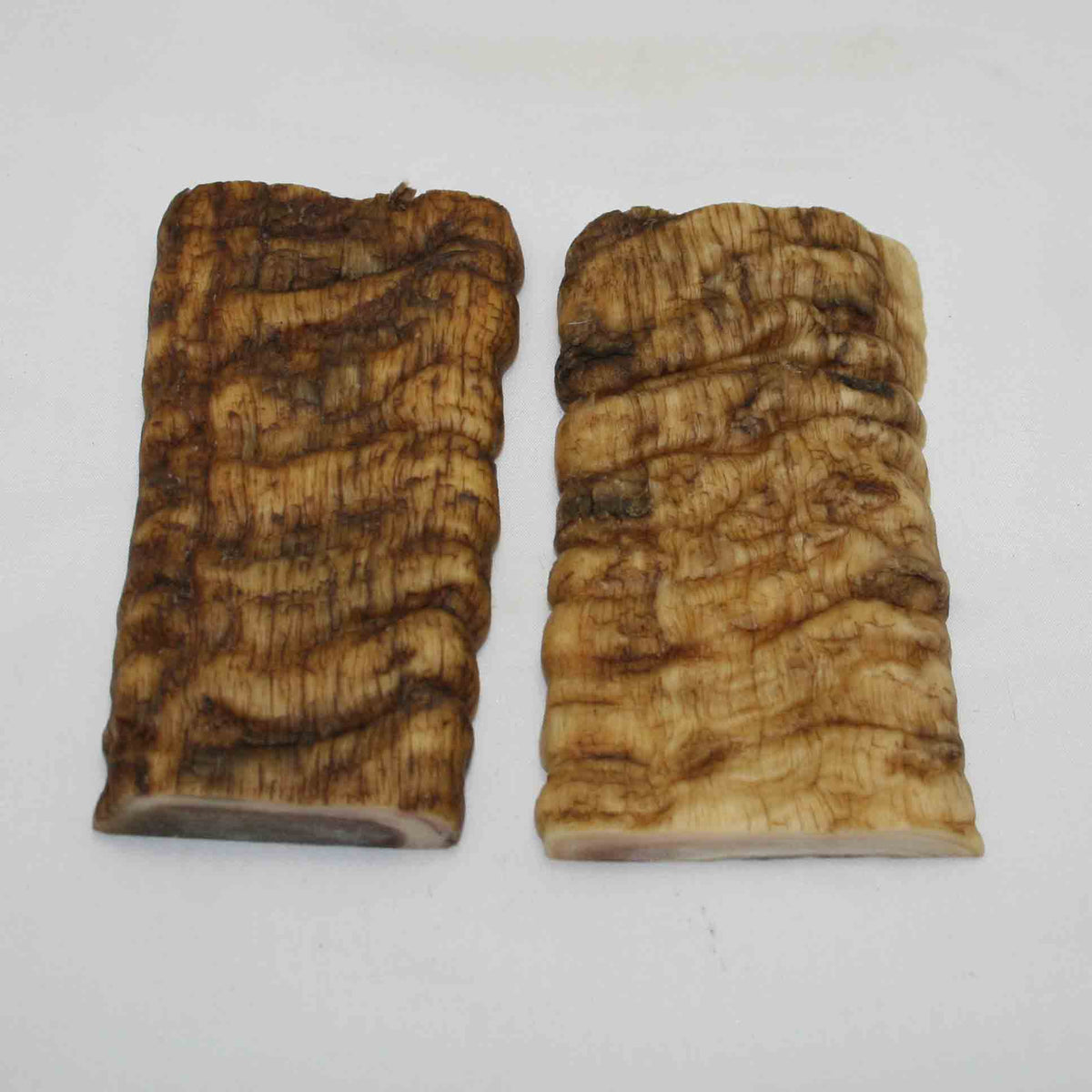 NB902MMA69 Merino Ram Horn Scales LARGE