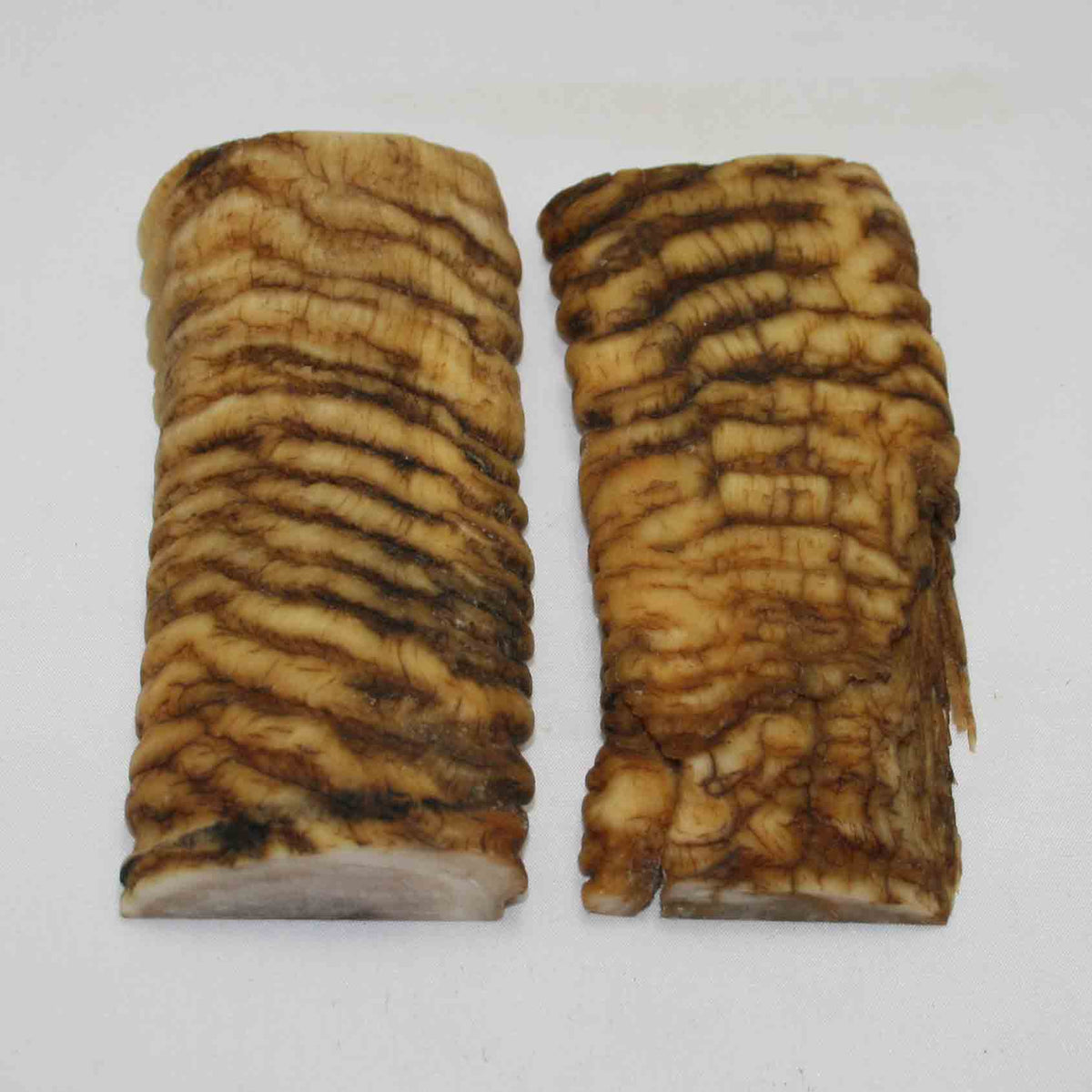 NB902MMA73 Merino Ram Horn Scales LARGE