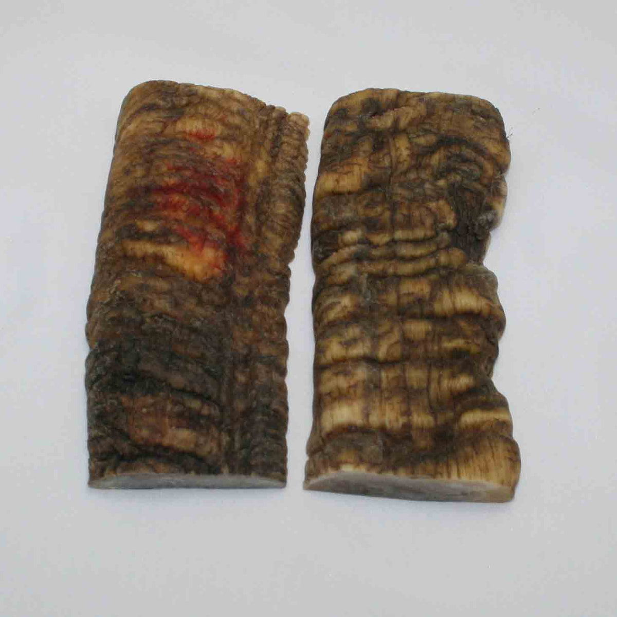 NB902MMA78 Merino Ram Horn Scales LARGE