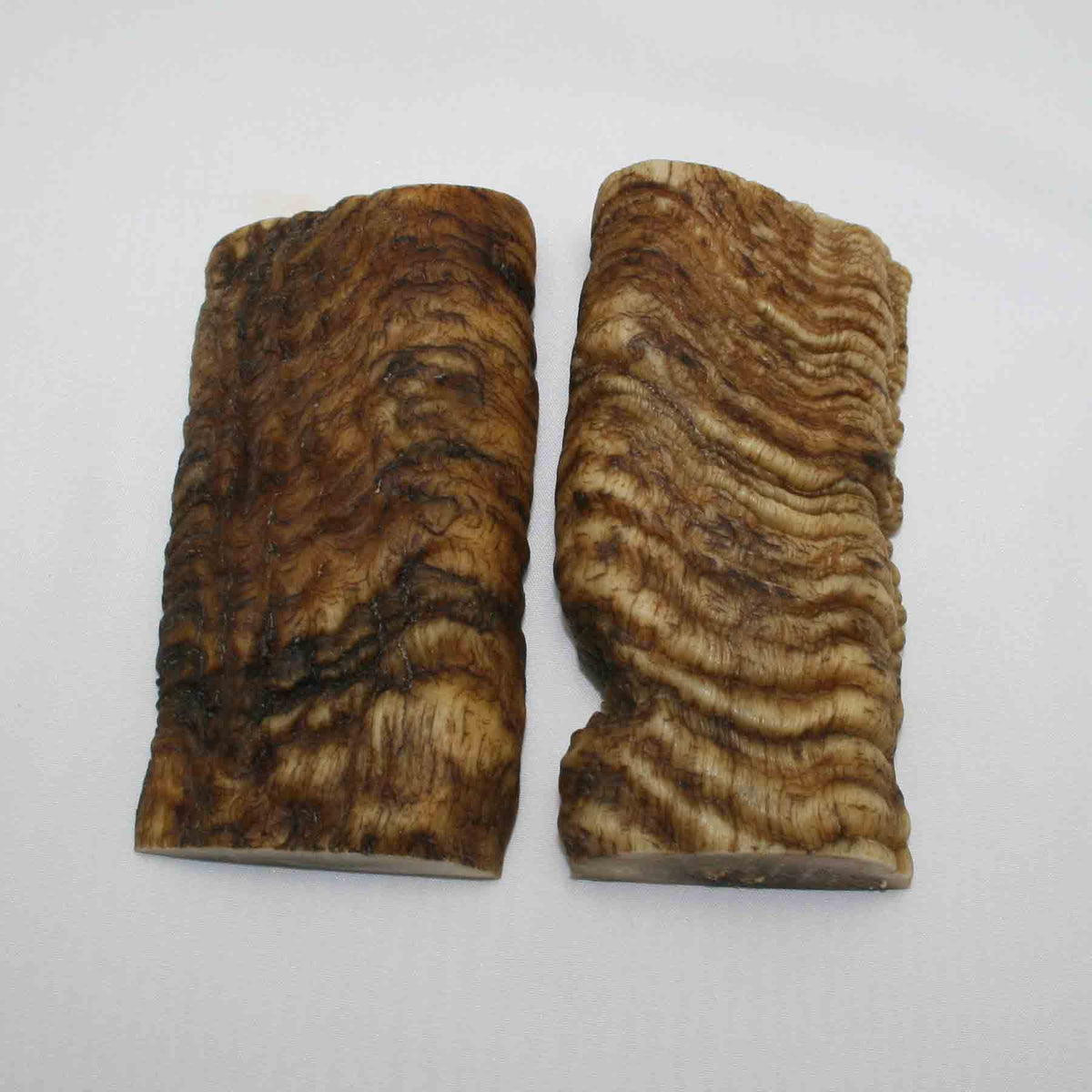 NB902MMA79 Merino Ram Horn Scales LARGE