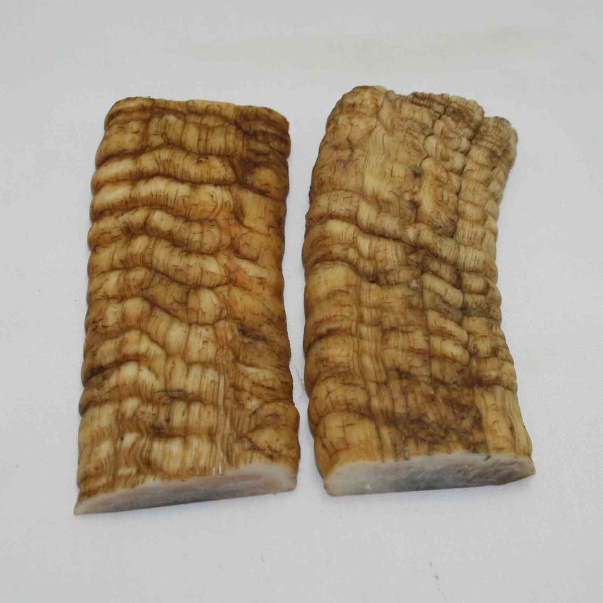 NB902MMA7 Merino Ram Horn Scales LARGE