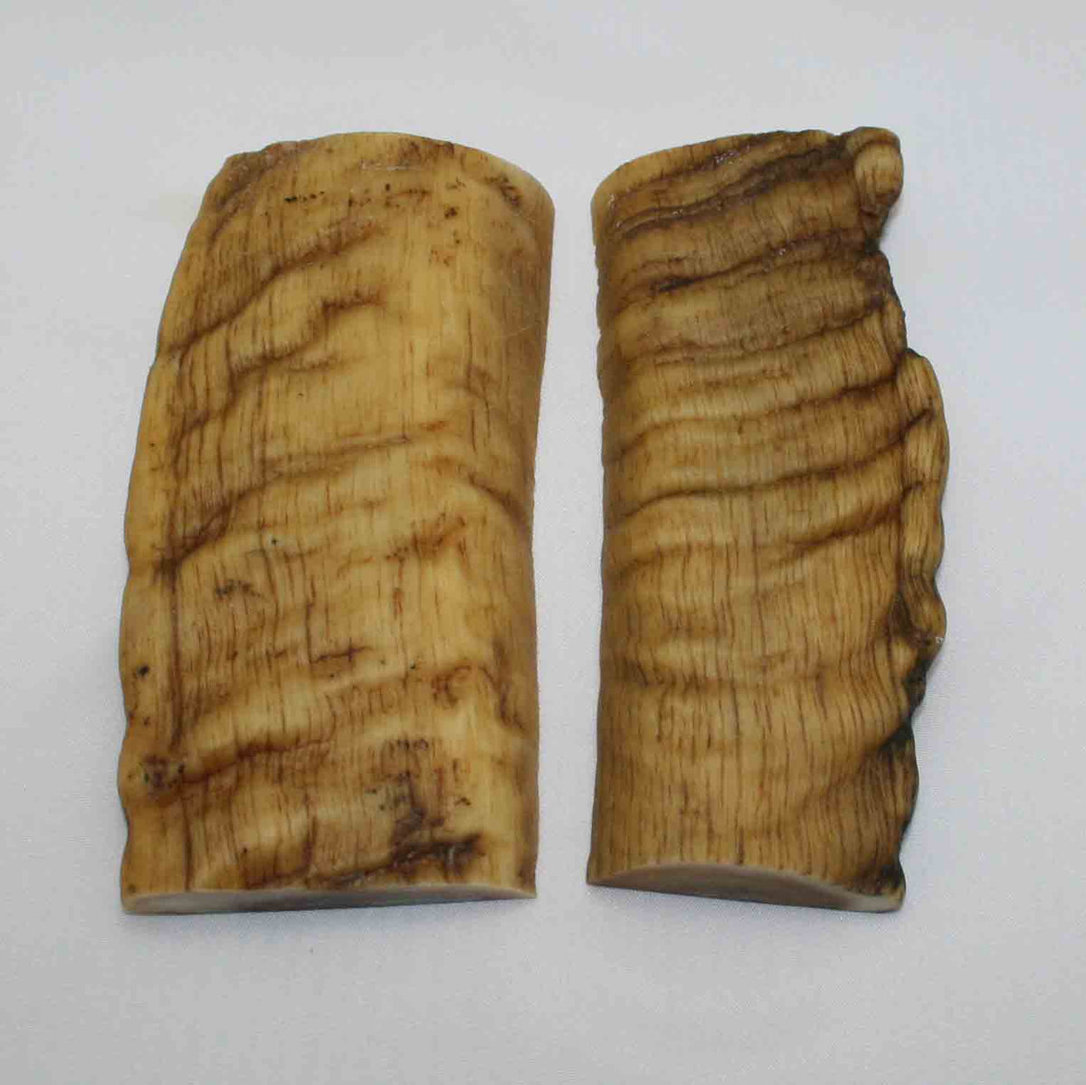 NB902MMA81 Merino Ram Horn Scales LARGE