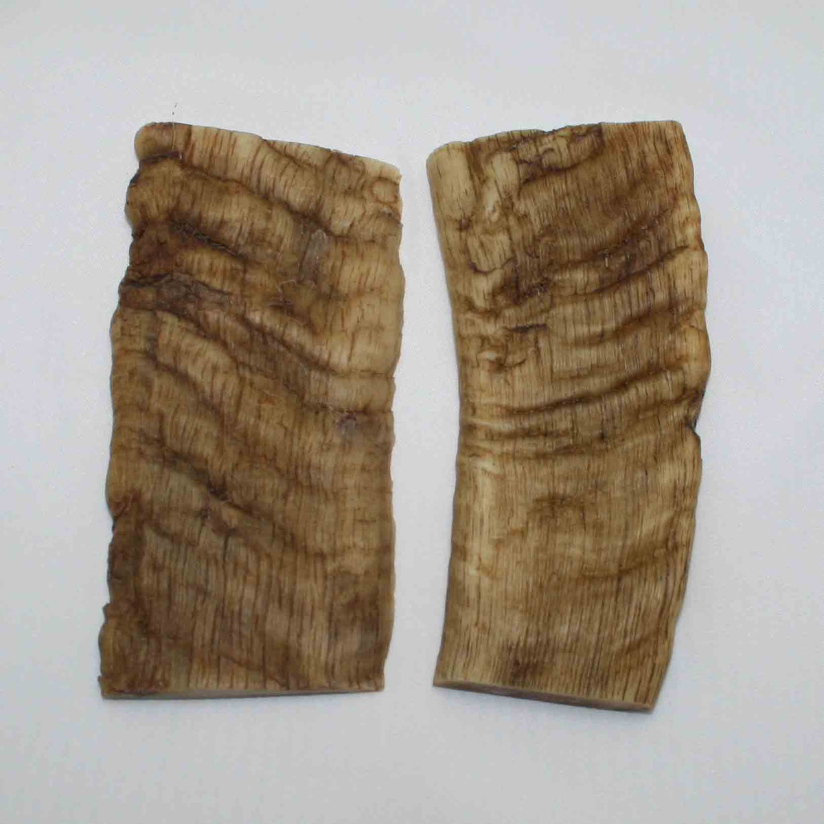 NB902MMA82 Merino Ram Horn Scales LARGE