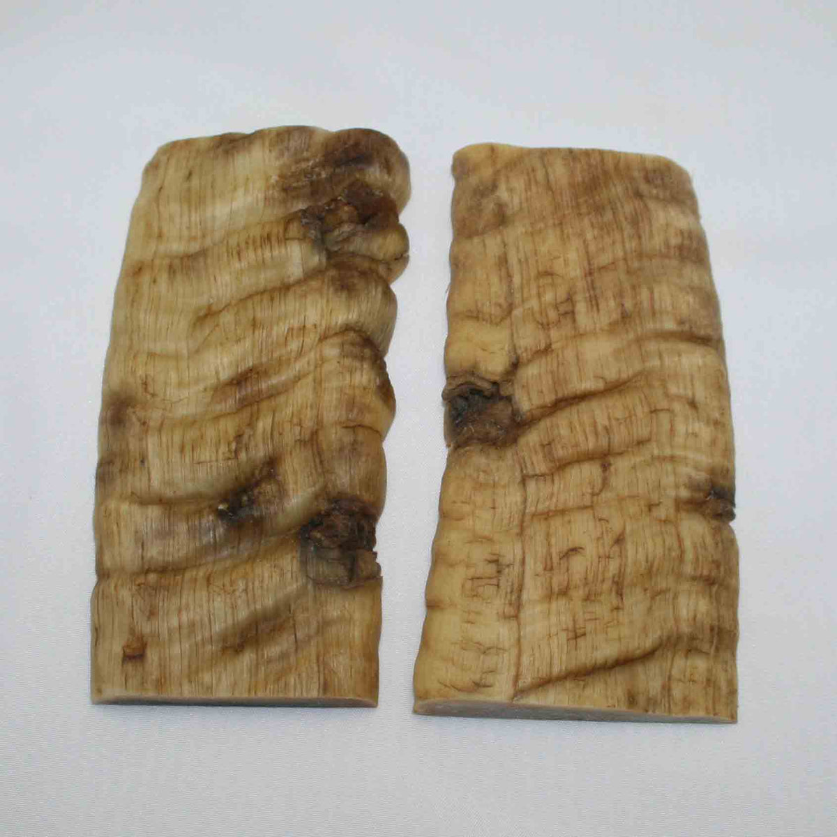 NB902MMA83 Merino Ram Horn Scales LARGE