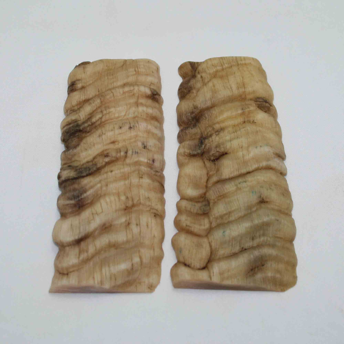 NB902NAM13 Merino Ram Horn Scales LARGE