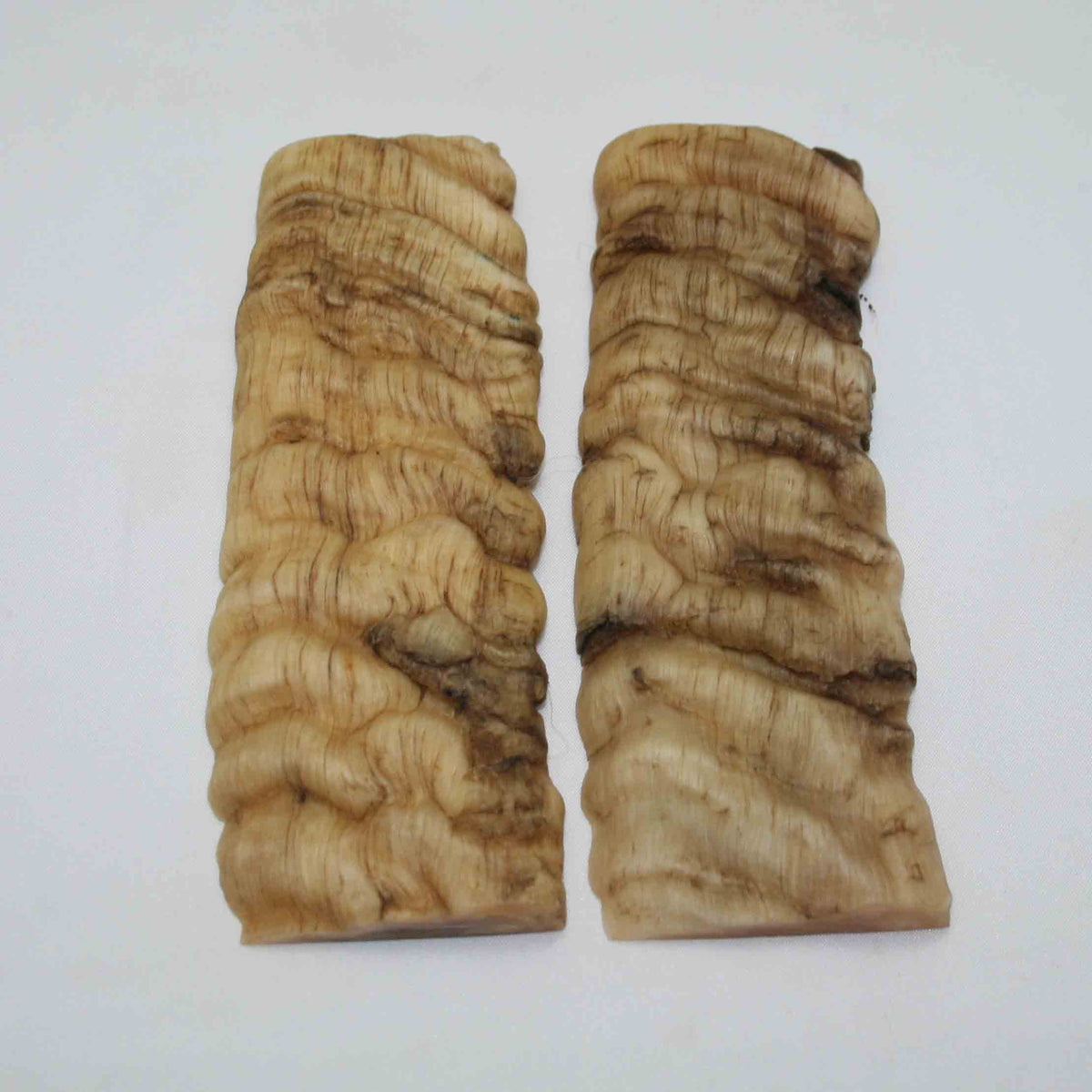 NB902NAM15 Merino Ram Horn Scales LARGE