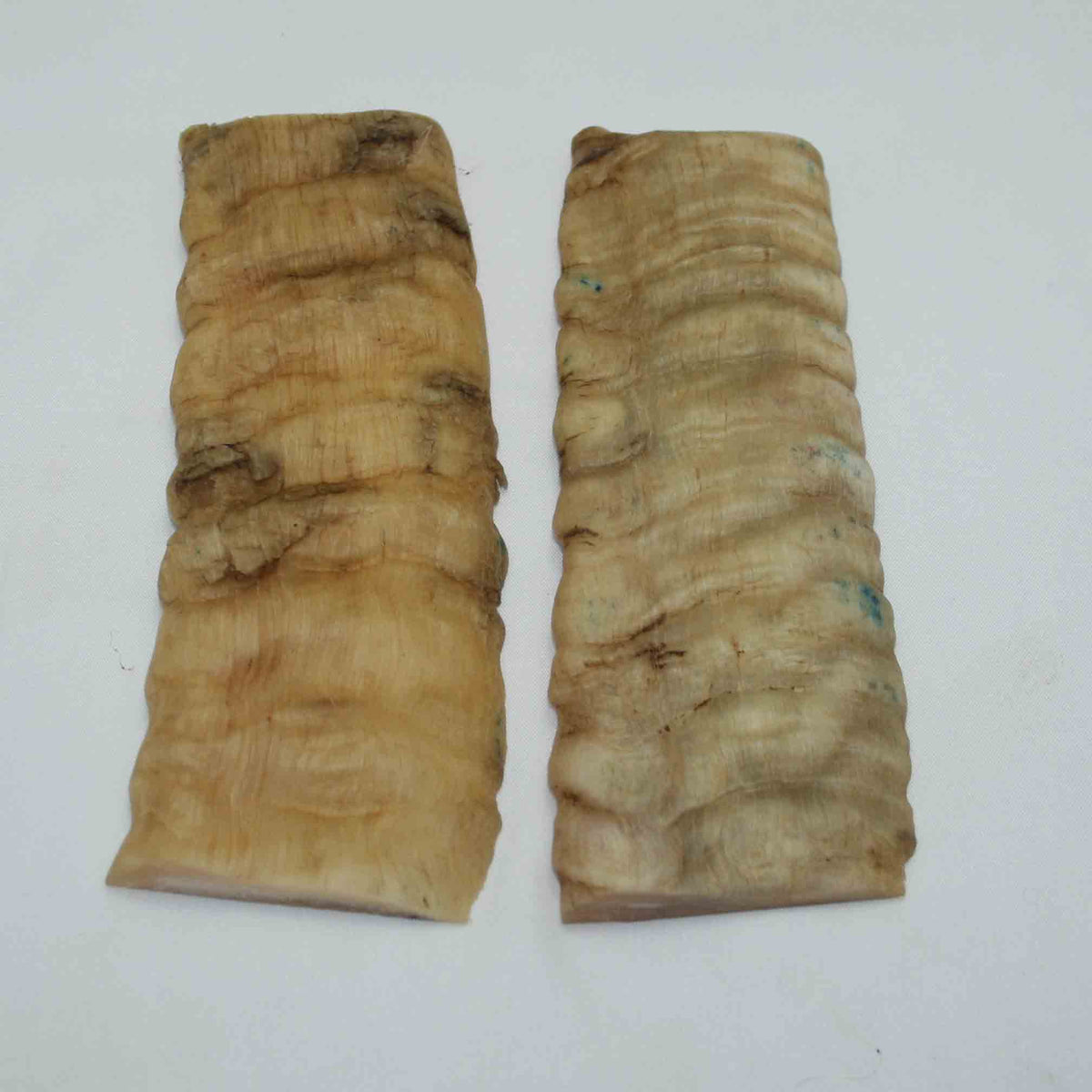 NB902NAM17 Merino Ram Horn Scales LARGE