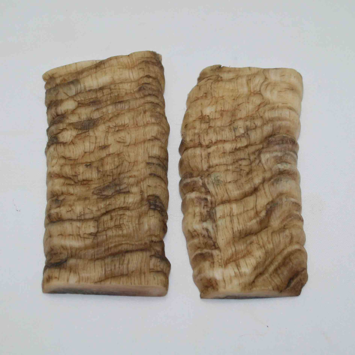 NB902NAM18 Merino Ram Horn Scales LARGE