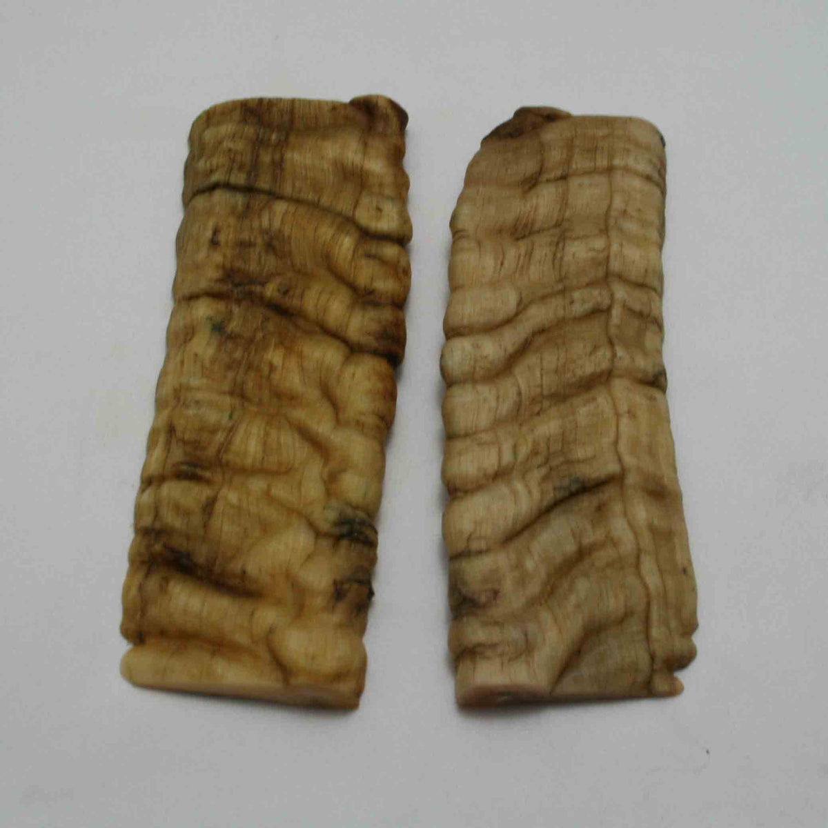 NB902NAM20 Merino Ram Horn Scales LARGE