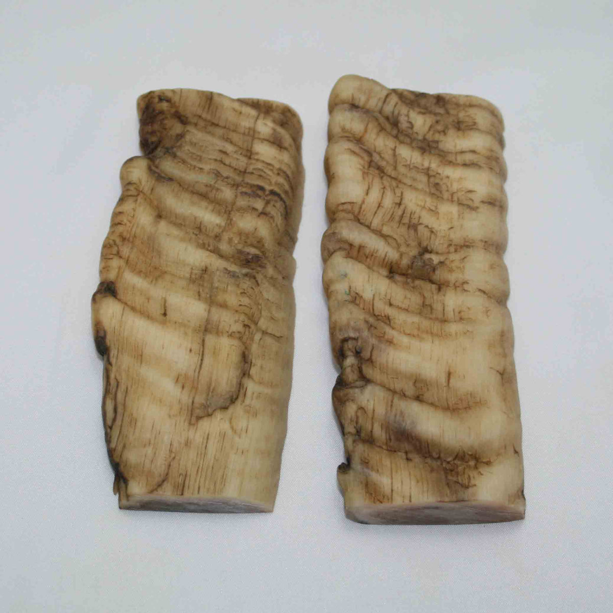 NB902NAM25 Merino Ram Horn Scales LARGE