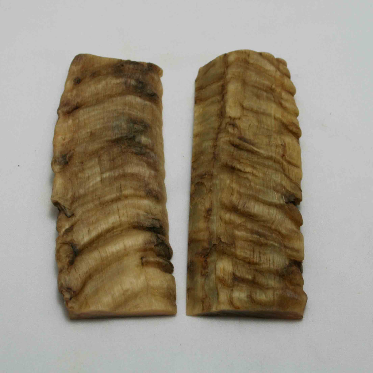 NB902NAM28 Merino Ram Horn Scales LARGE