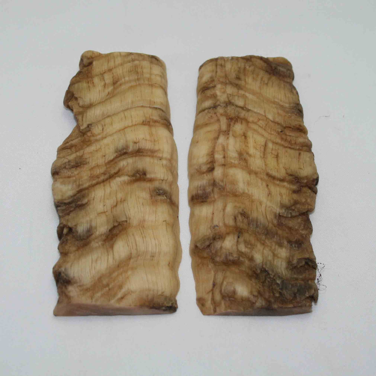 NB902NAM35 Merino Ram Horn Scales LARGE