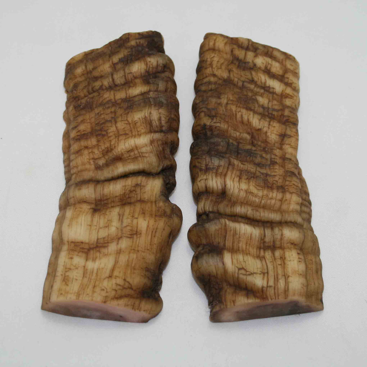 NB902NAM42 Merino Ram Horn Scales LARGE