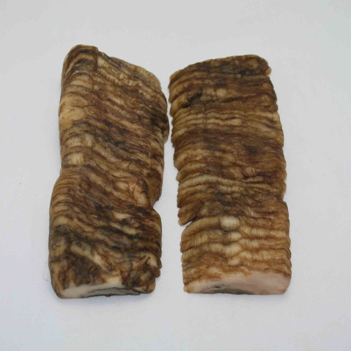 NB902NAM49 Merino Ram Horn Scales LARGE