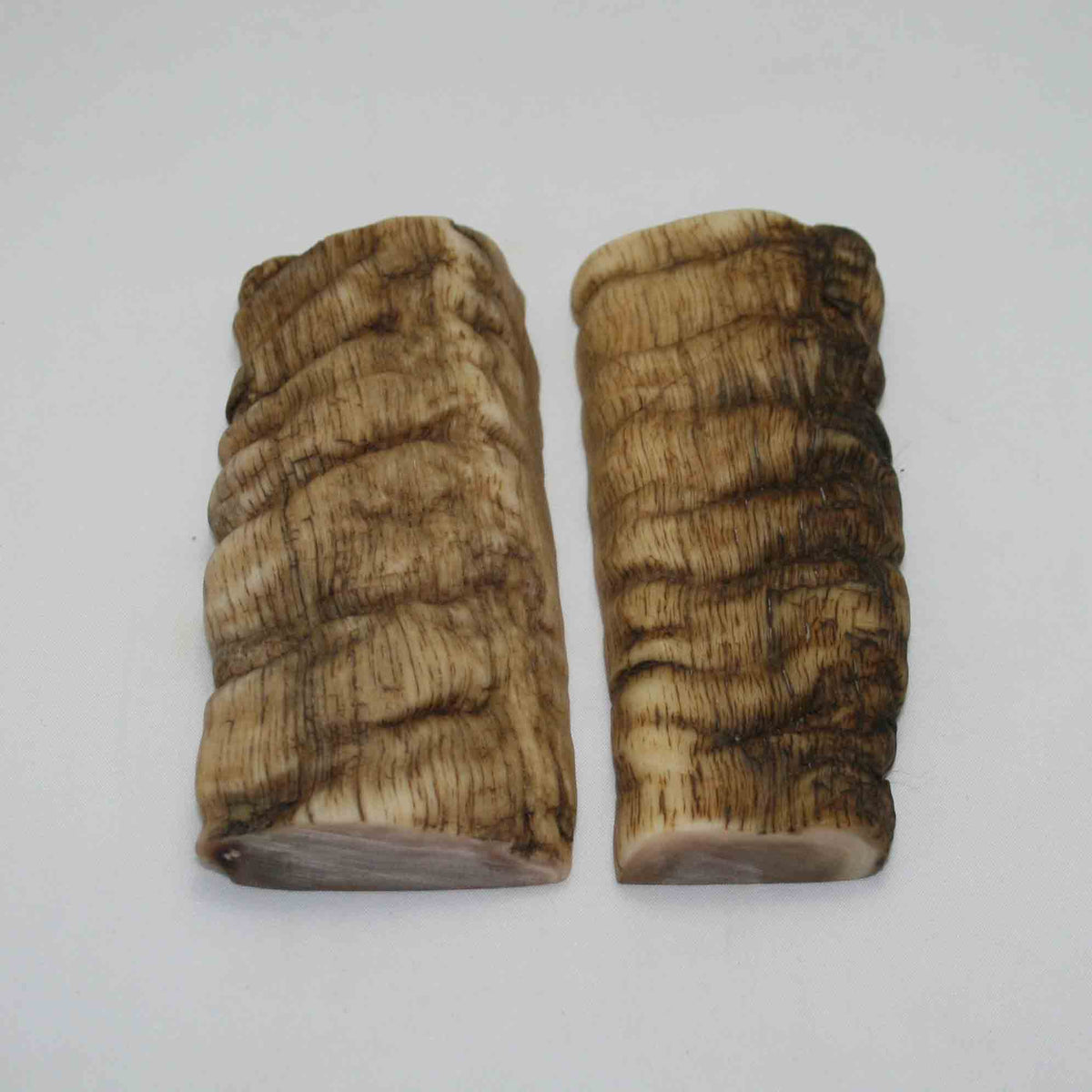 NB902NAM52 Merino Ram Horn Scales LARGE