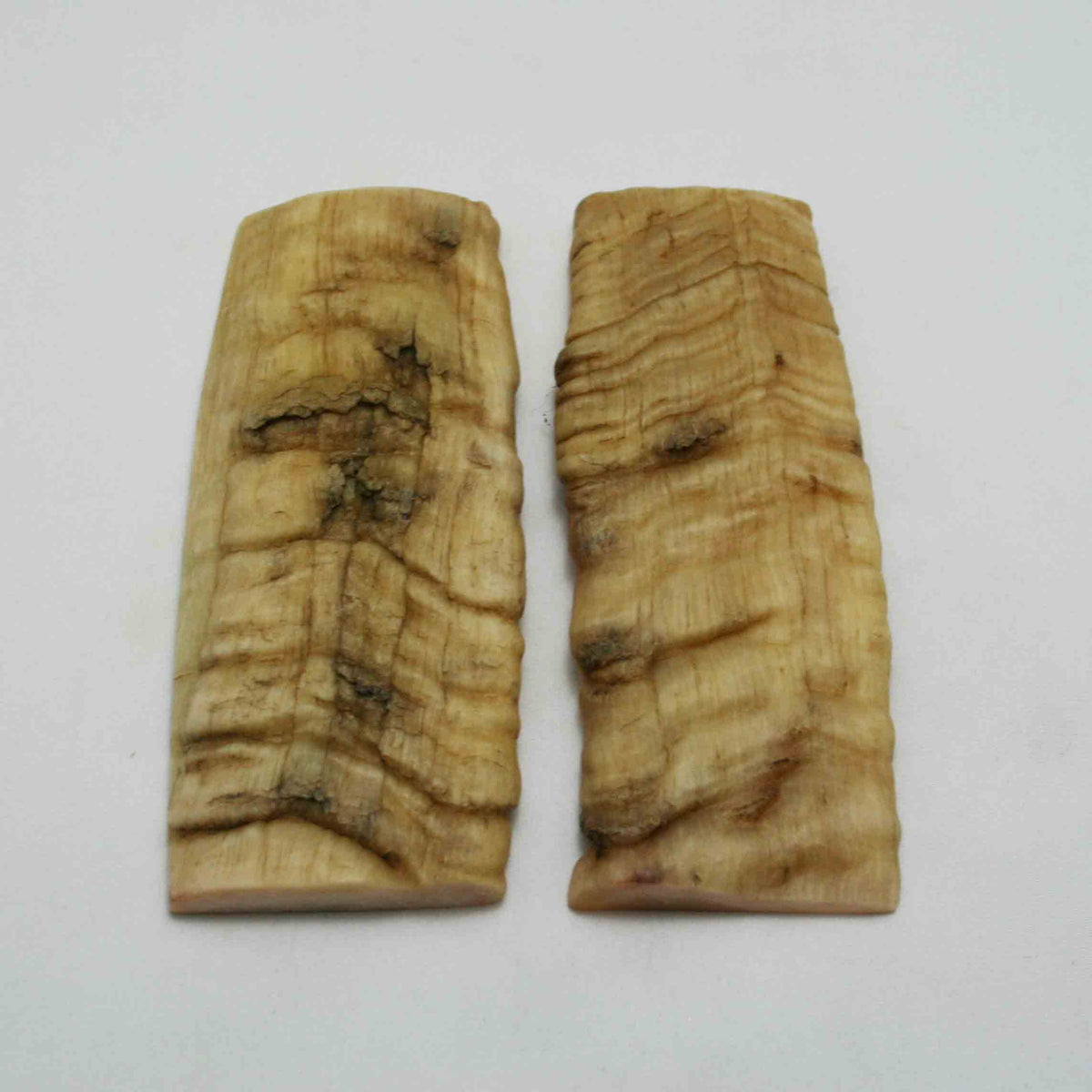 NB902NAM56 Merino Ram Horn Scales LARGE